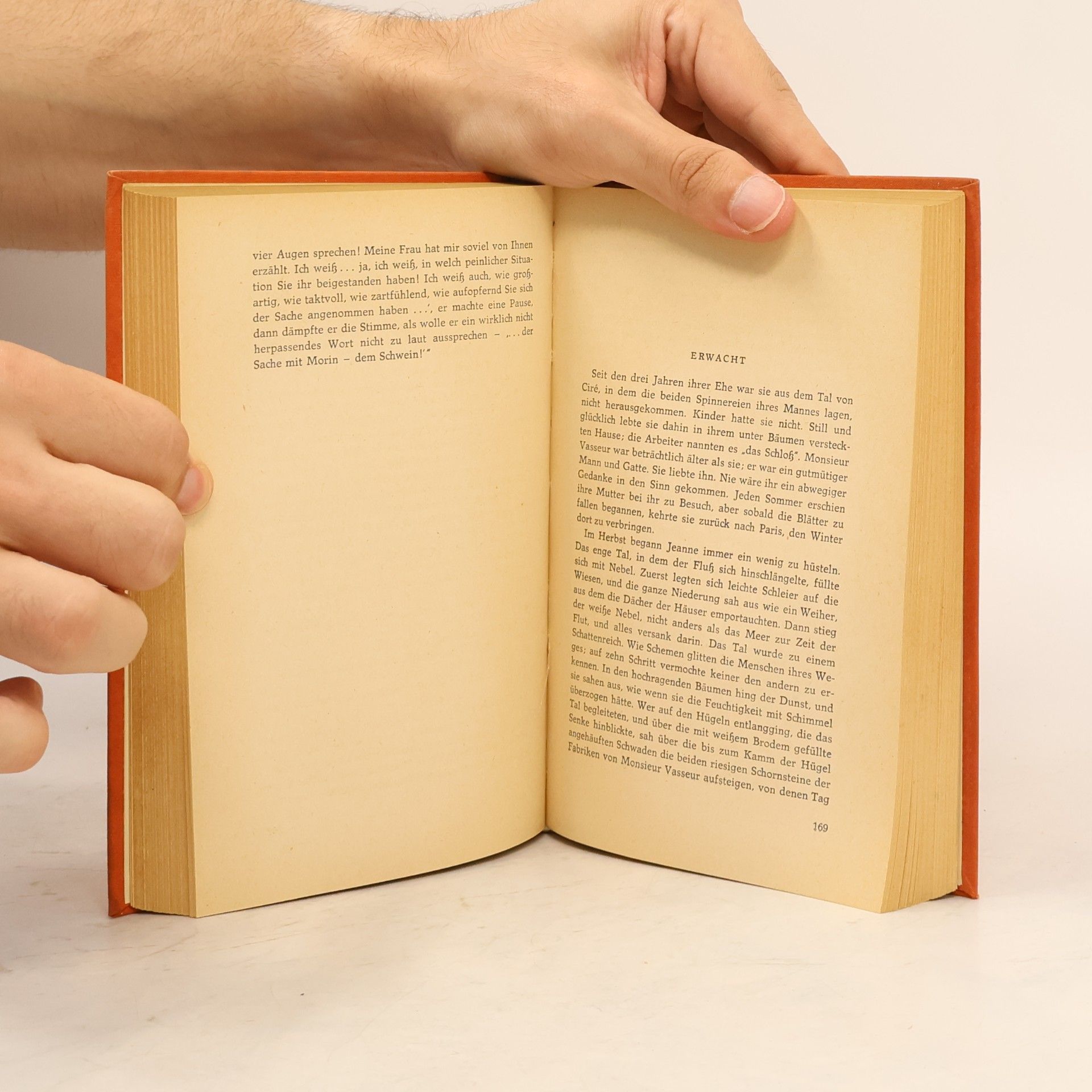 Guy de Maupassant Meisternovellen 2