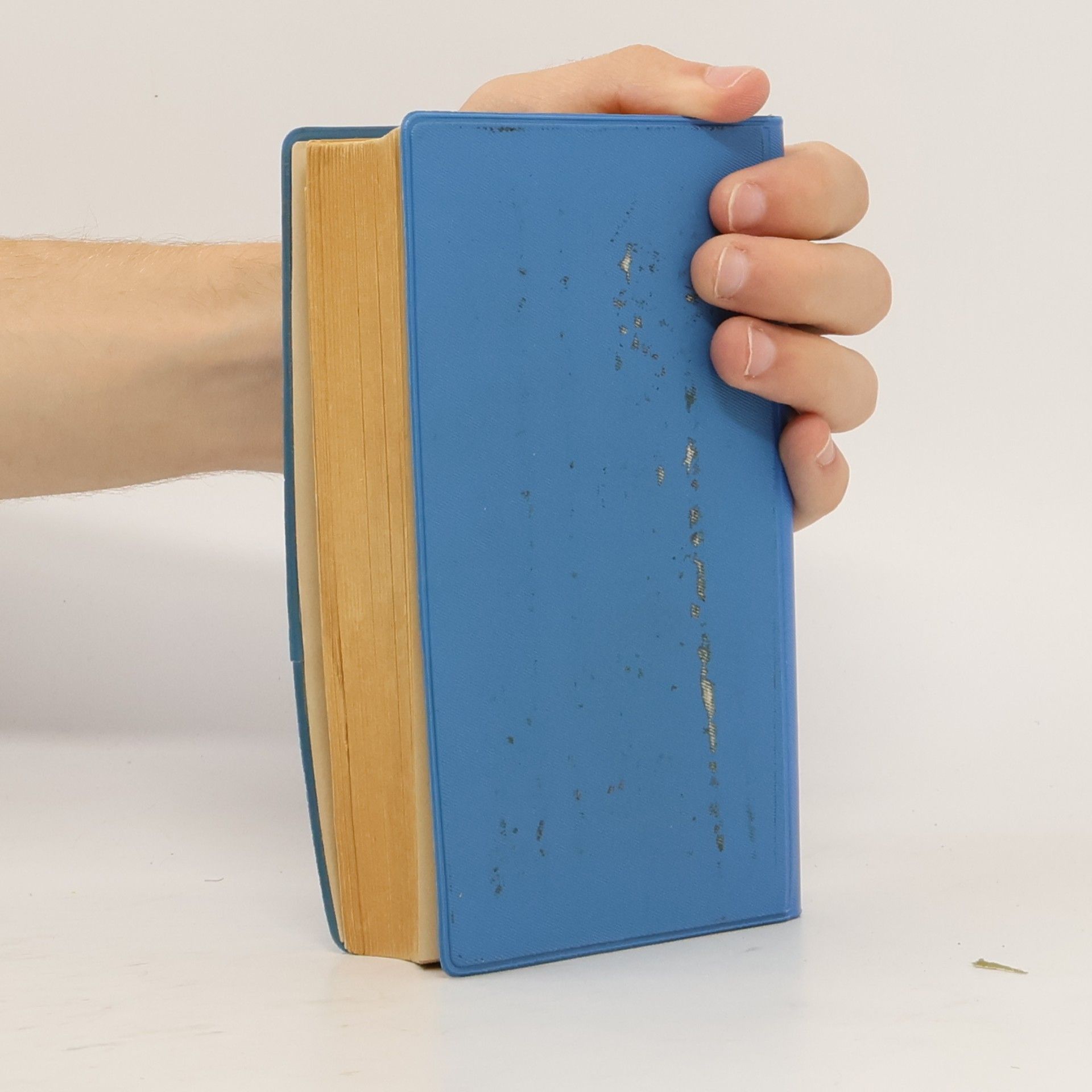 Autorenkollektiv Brockhaus Reisehandbuch. Ostseeküste