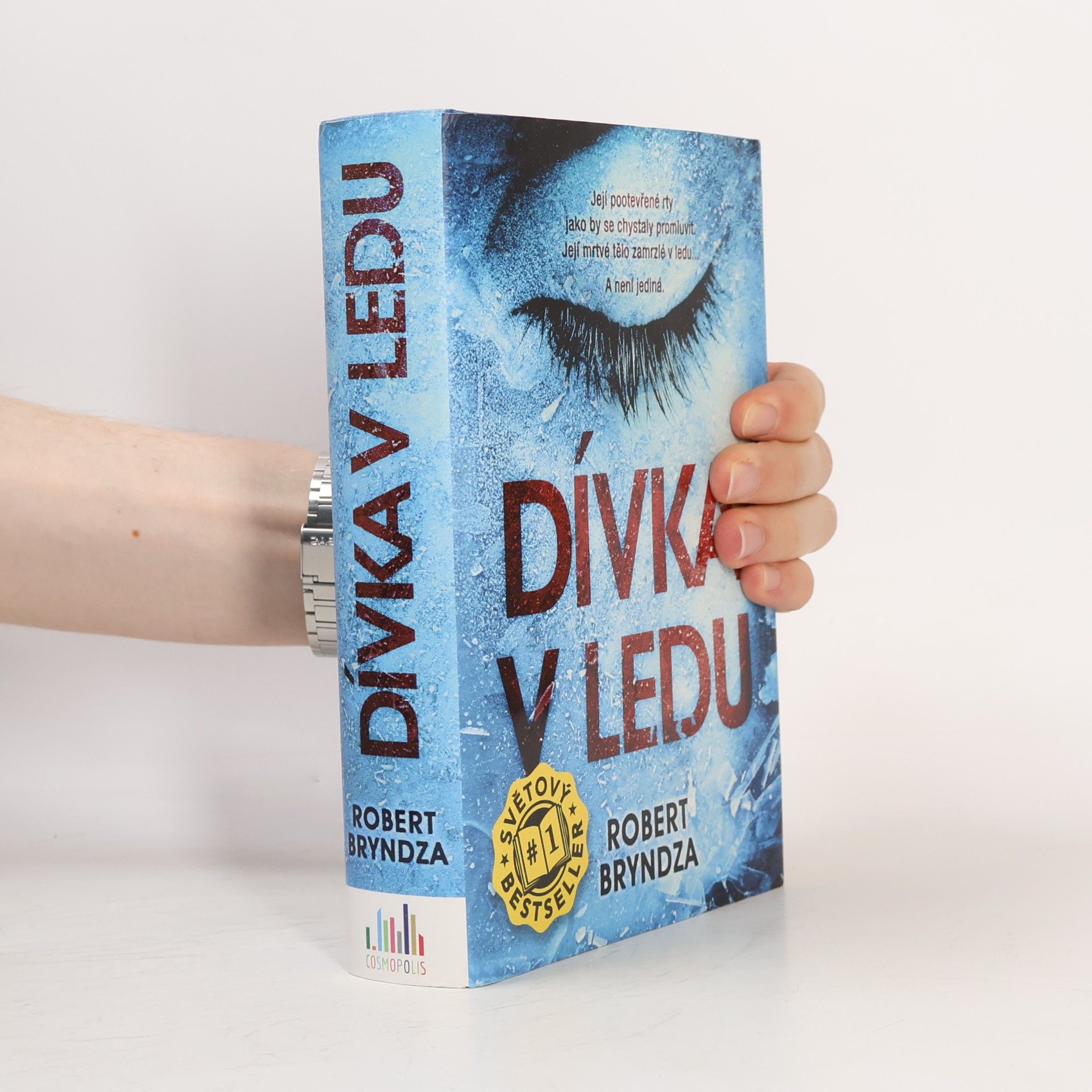 Robert Bryndza Dívka v ledu