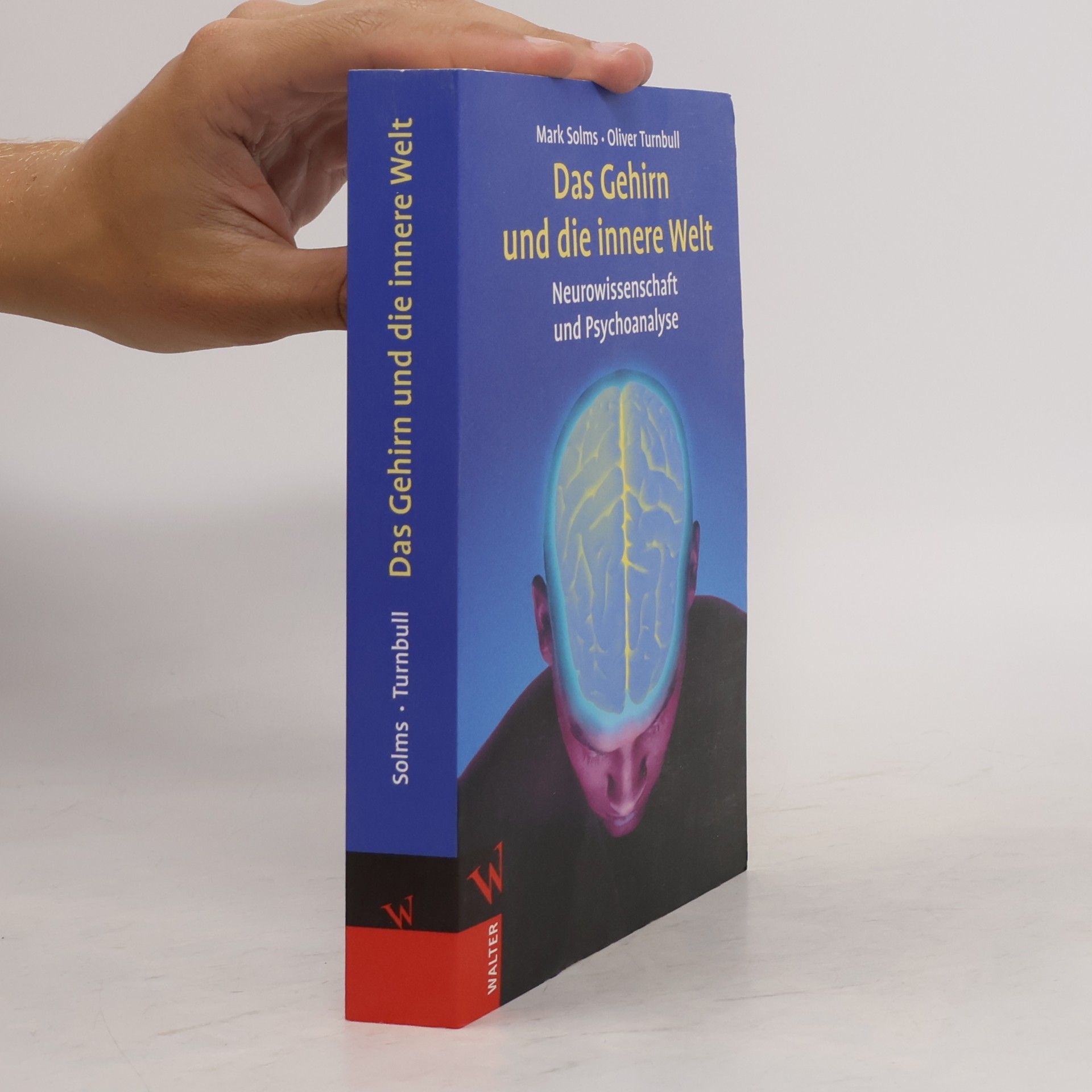Mark Solms Das Gehirn und die innere Welt