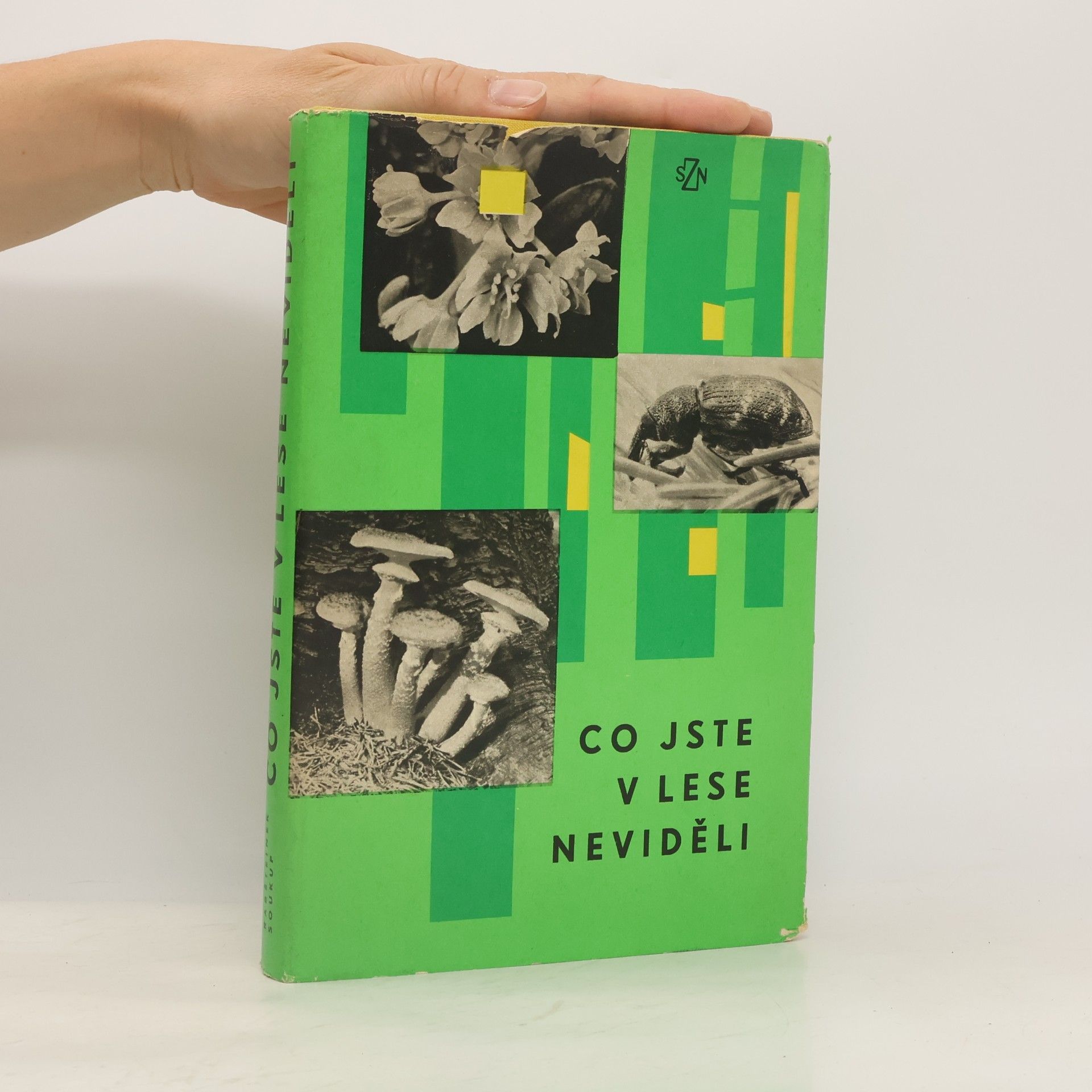 Bohuslav Soukup Co jste v lese neviděli
