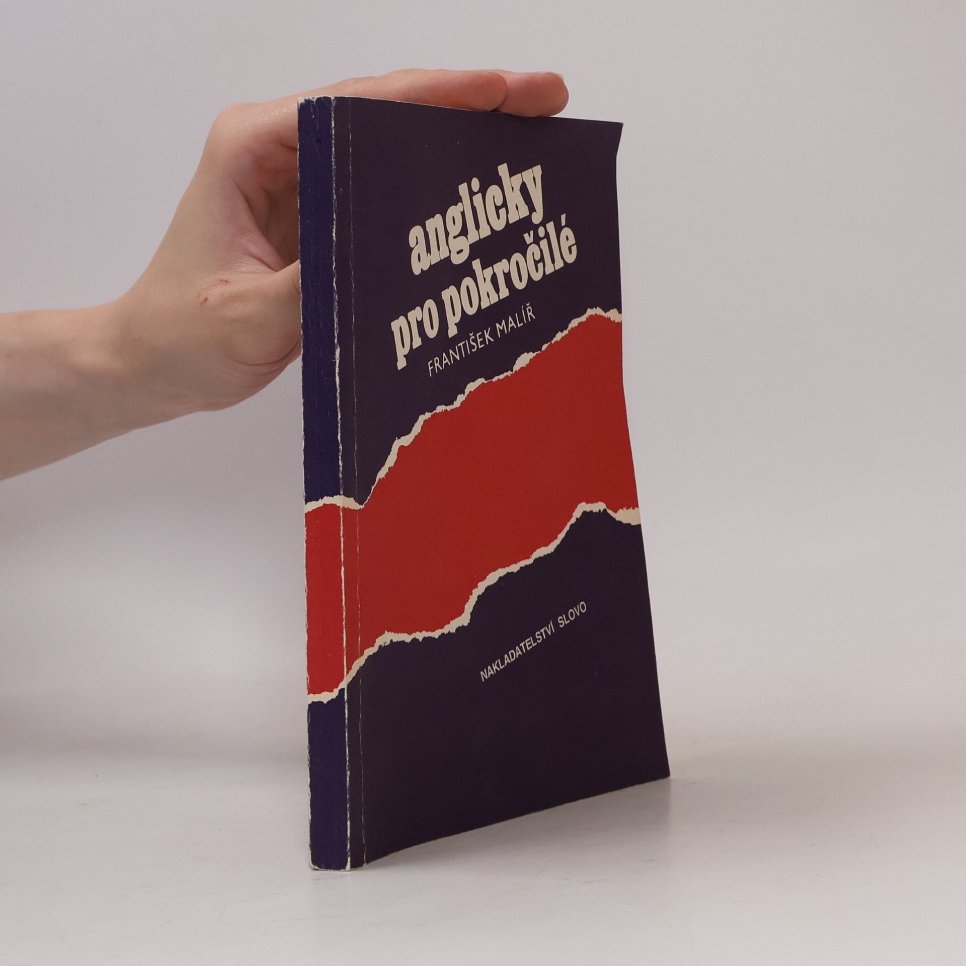 Anglicky pro pokročilé