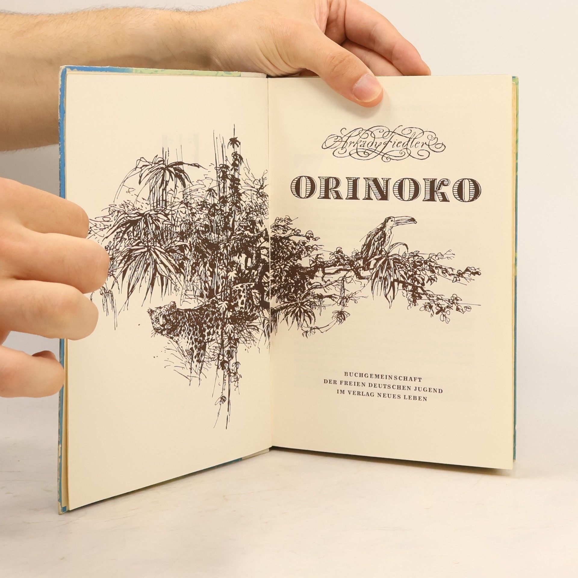 Arkady Fiedler Orinoko