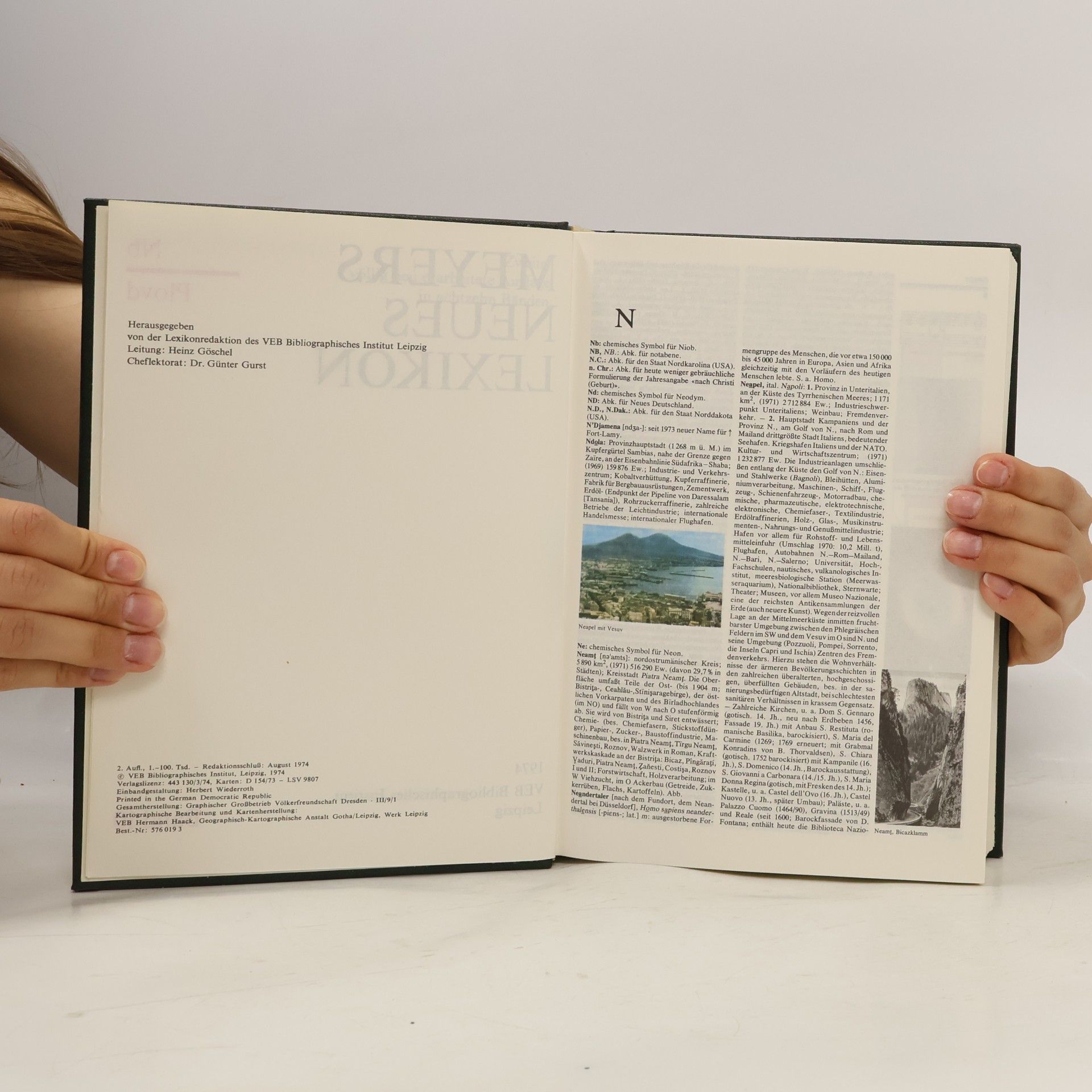 Autorenkollektiv Meyers neues Lexikon 10. Nb-Plovd