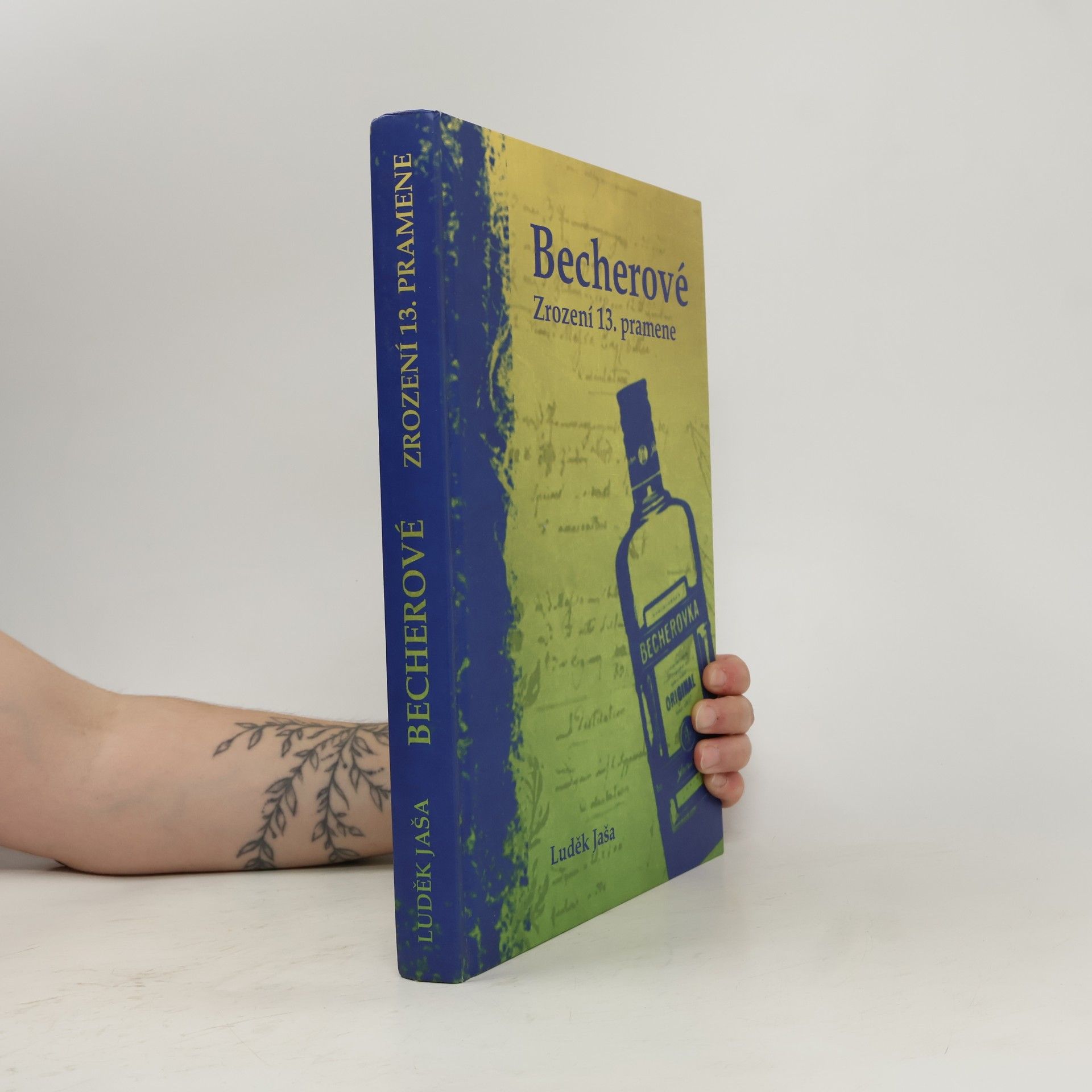 Luděk Jaša Becherové - Zrození 13. pramene