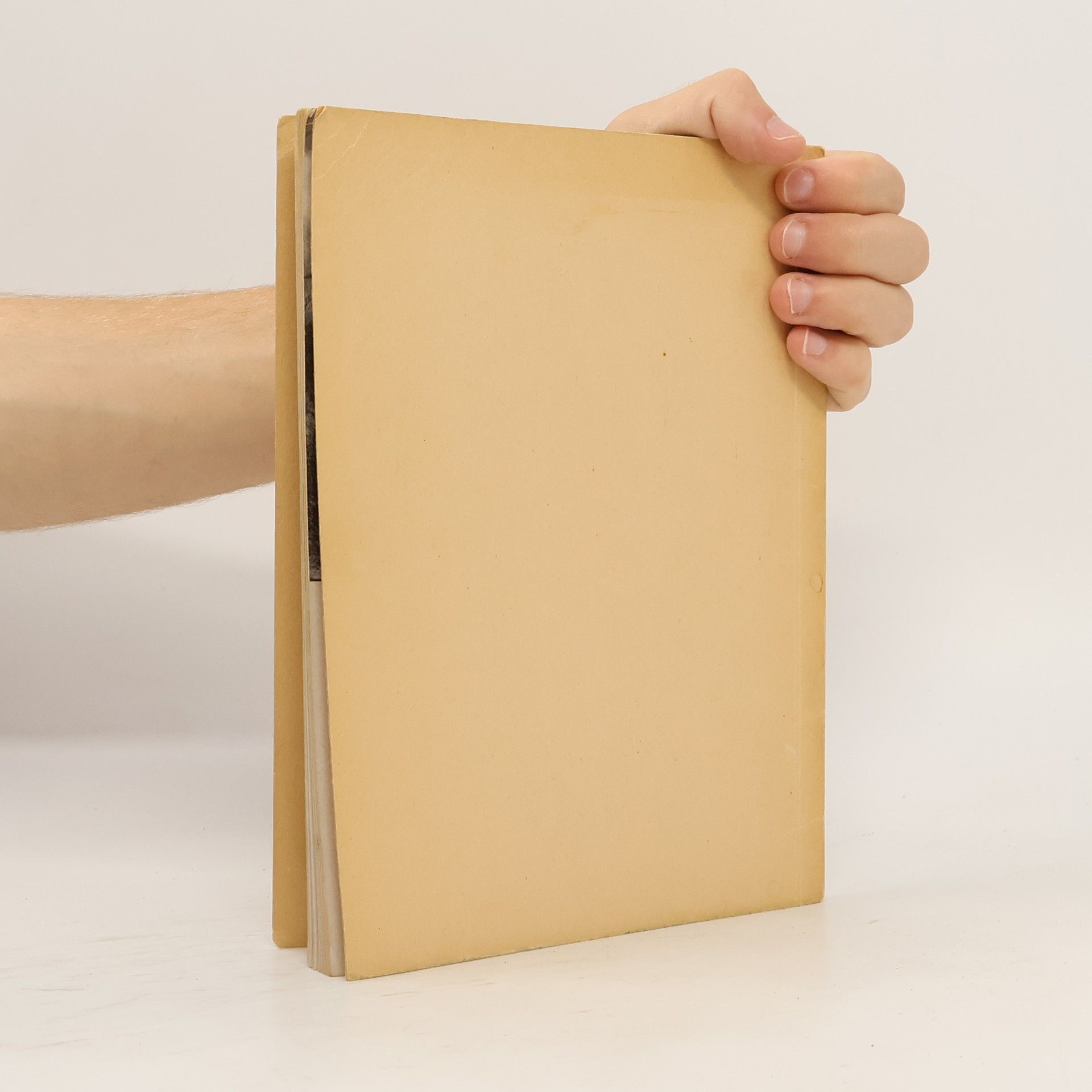 Collectif d'auteurs Vogtland