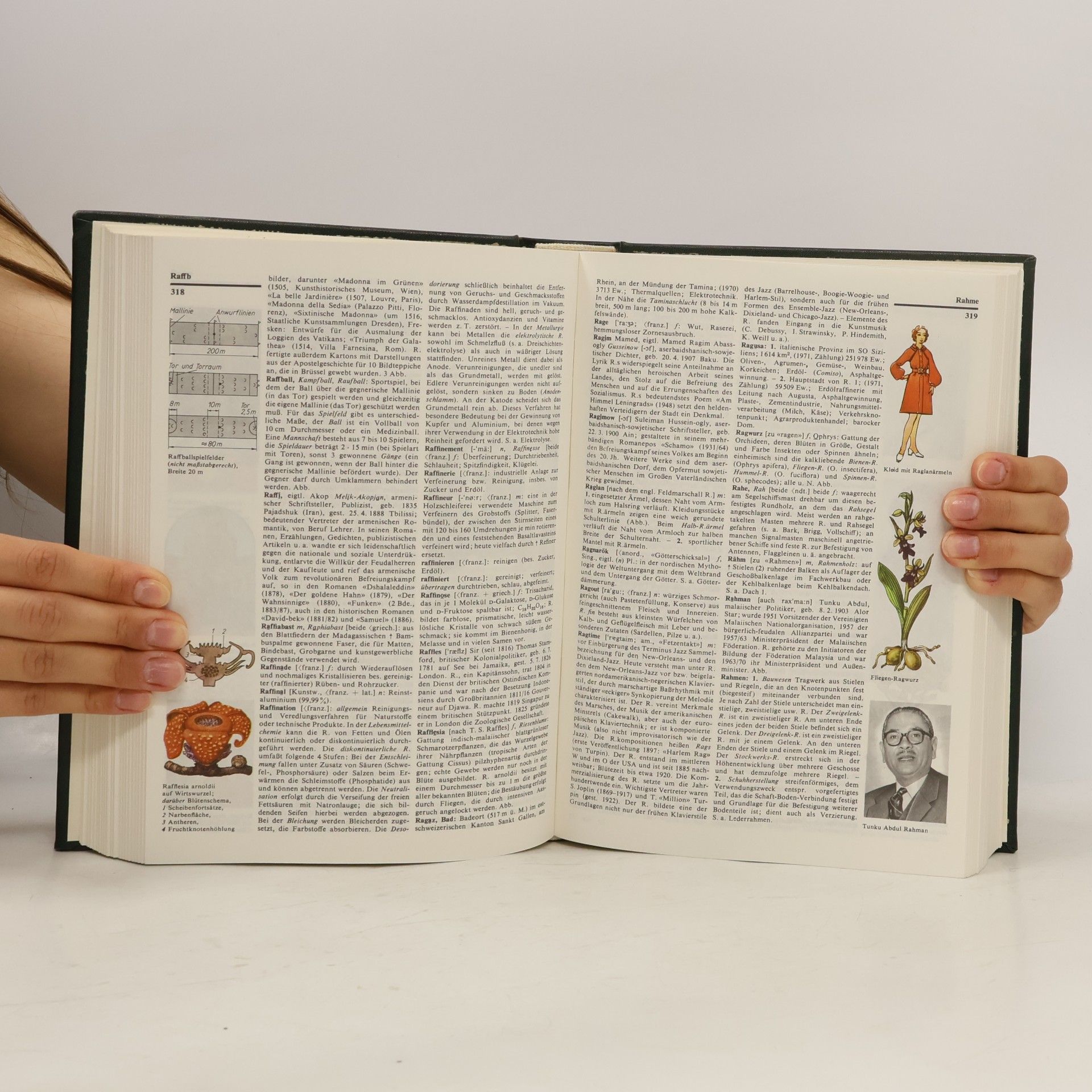 Autorenkollektiv Meyers Neues Lexikon Band 11. Plück-Rüsse