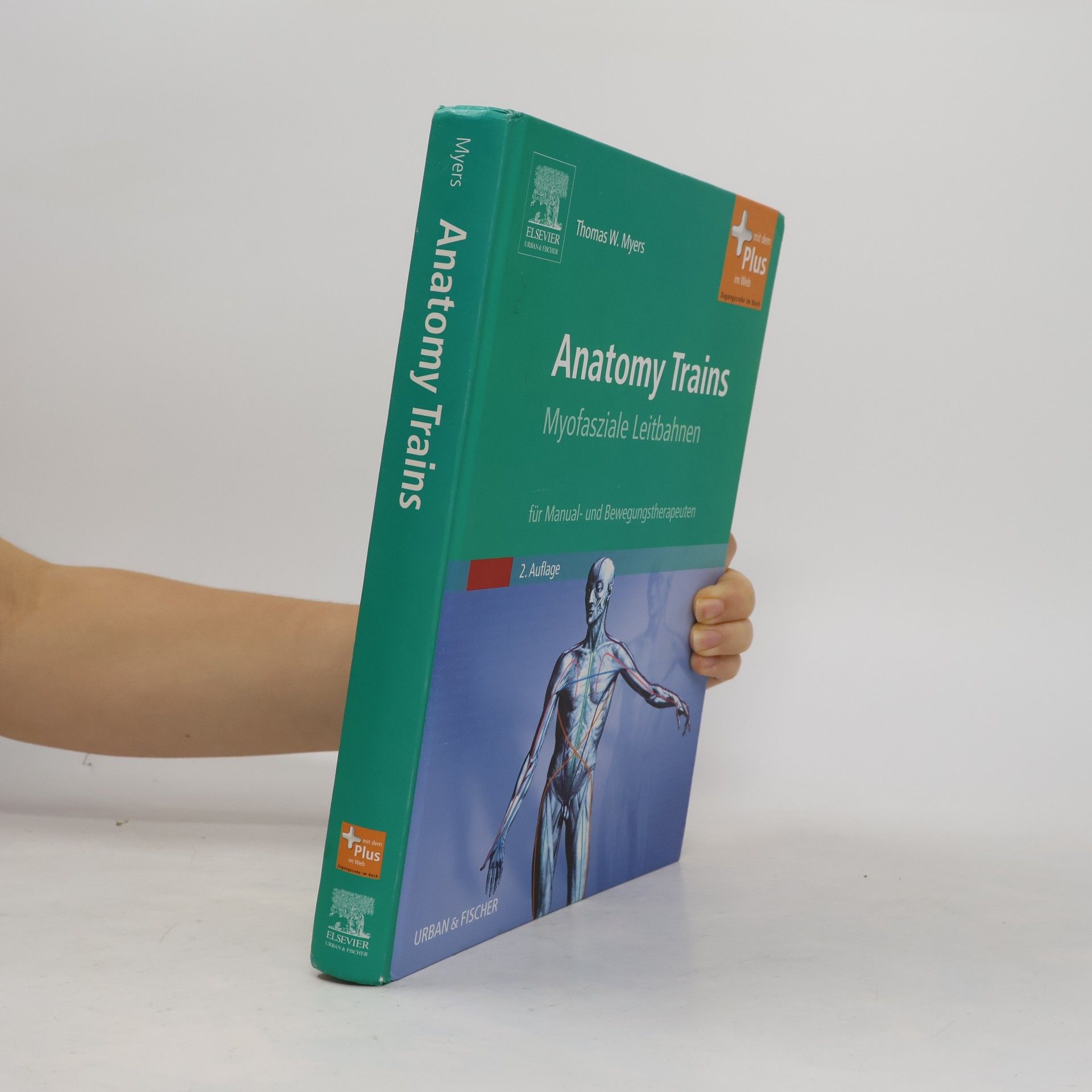 Thomas W. Myers Anatomy trains