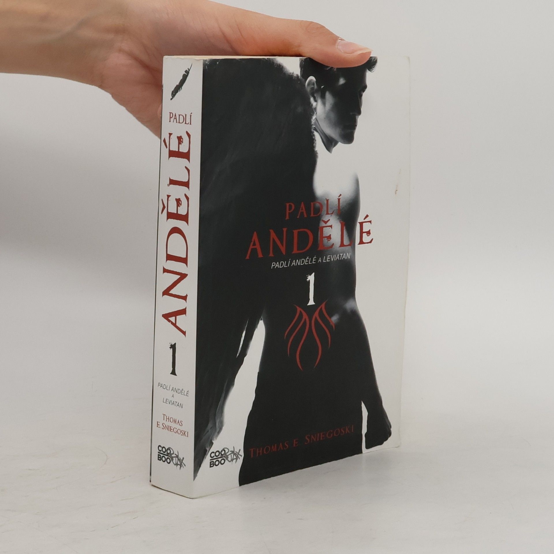 Thomas E. Sniegoski Padlí andělé a Leviatan. Padlí andělé. 1. díl
