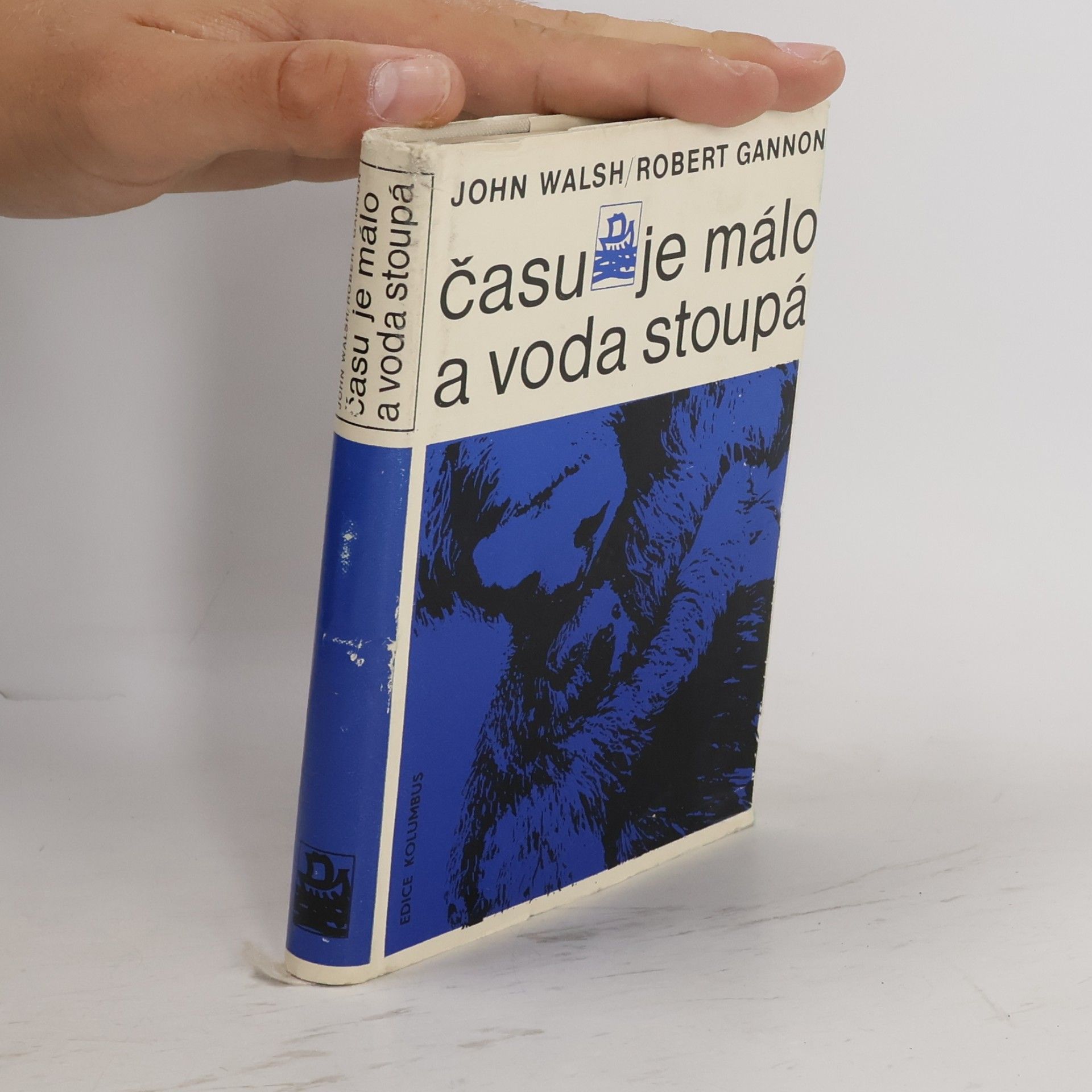 Robert Gannon Času je málo a voda stoupá