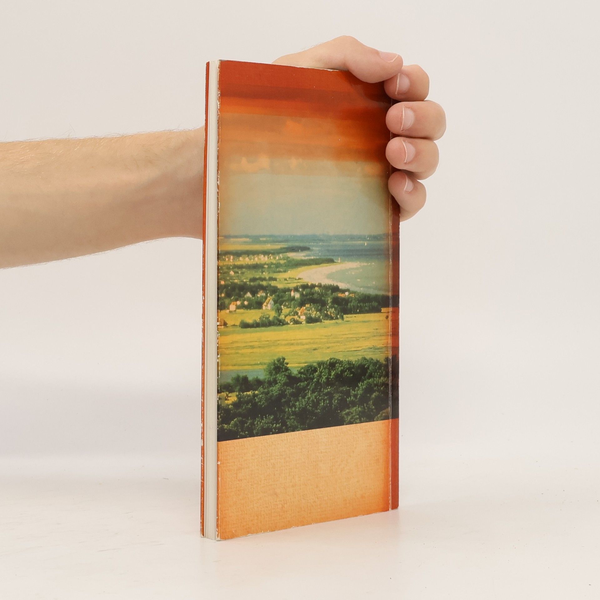 kolektiv Die Malerin von Hiddensee