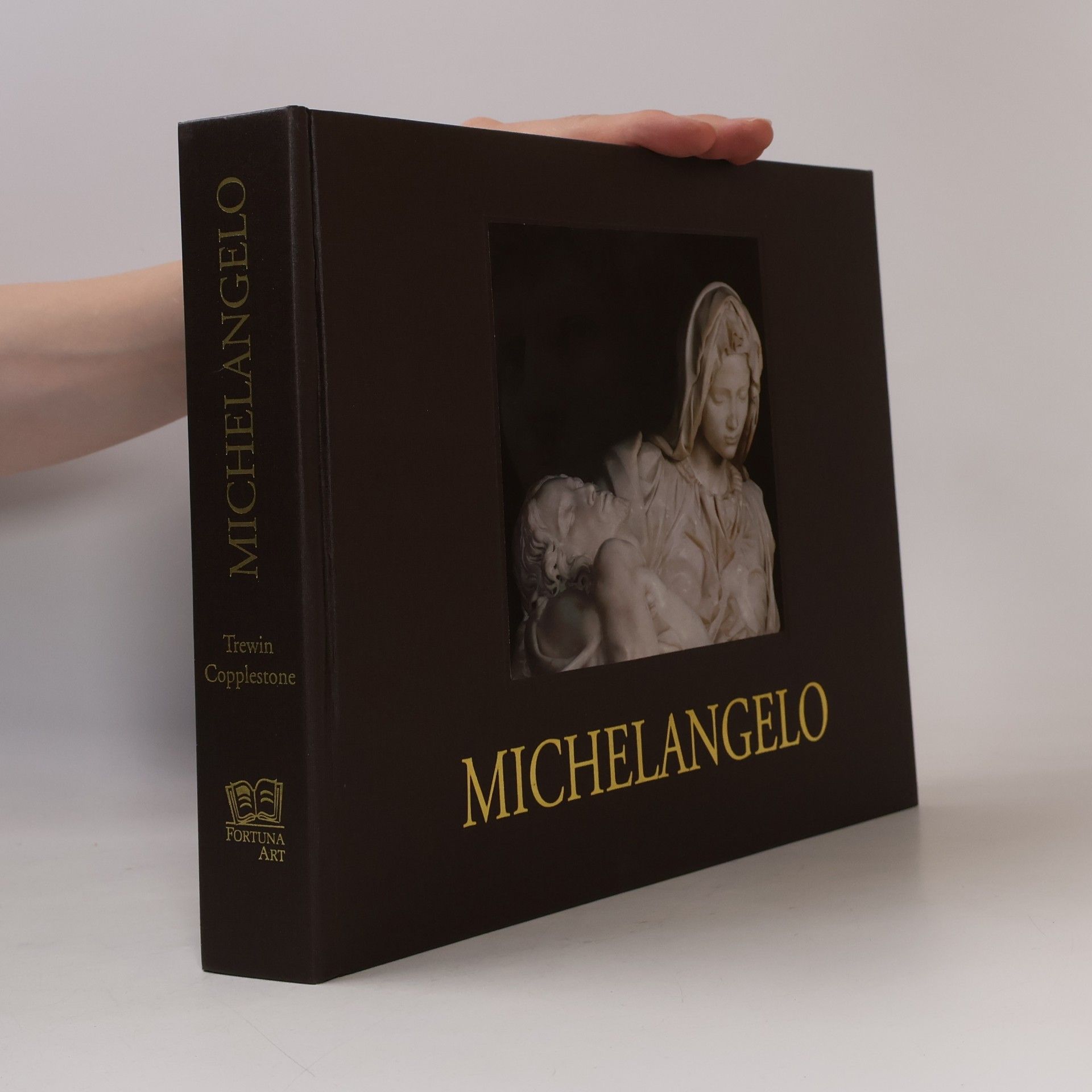 Trewin Copplestone Michelangelo