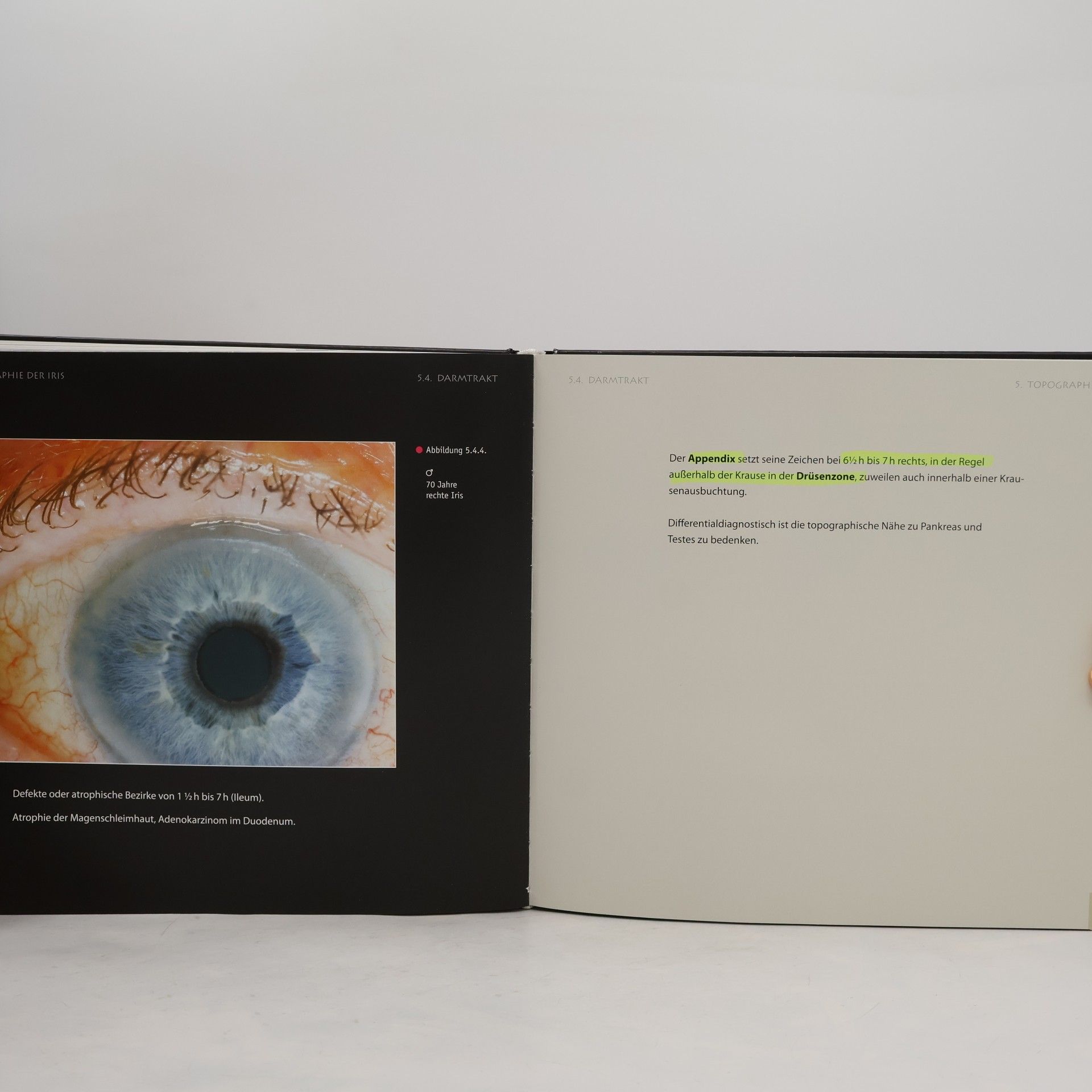 Rudolf Stolz Informationen aus Struktur und Farbe
