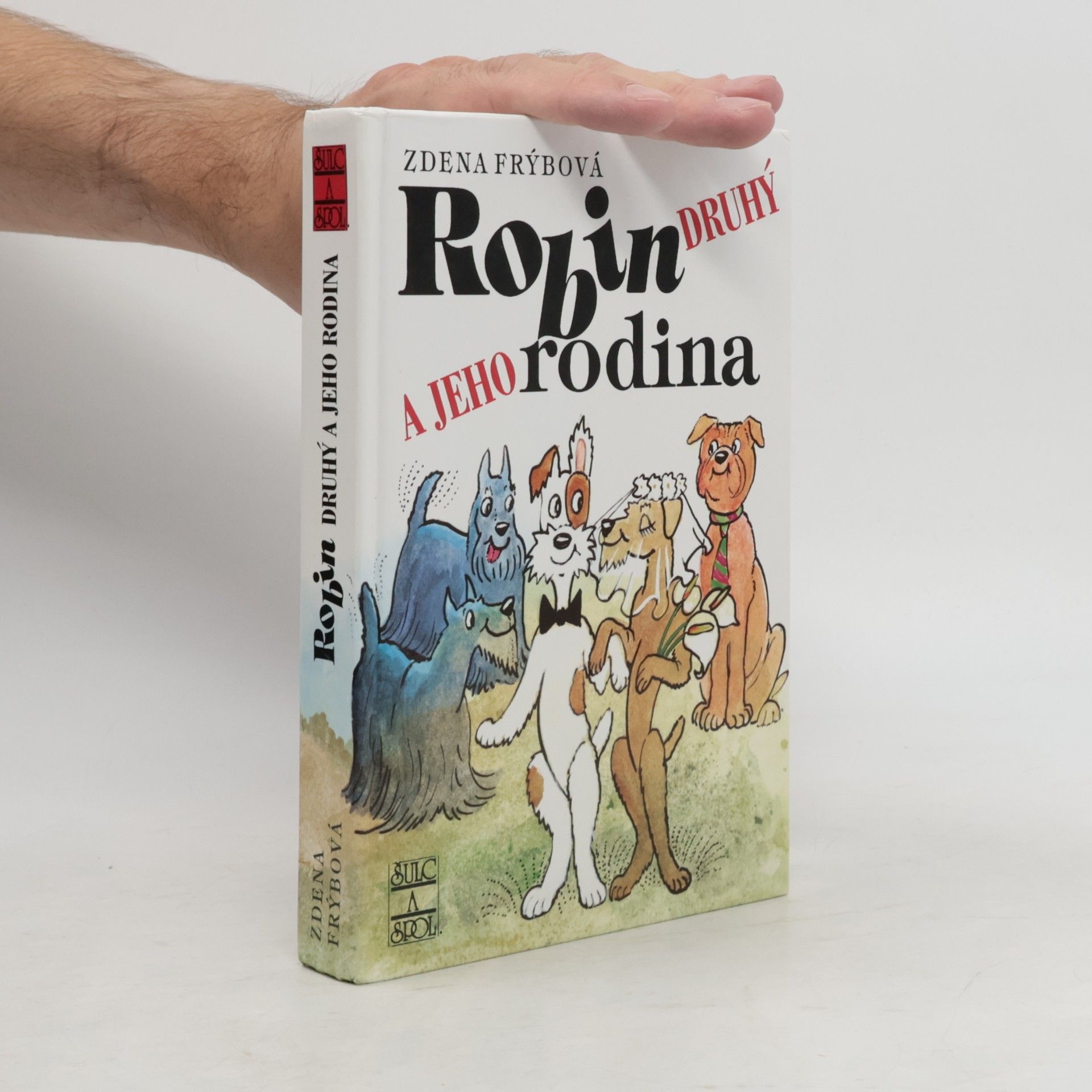 Robin Druhý a jeho rodina