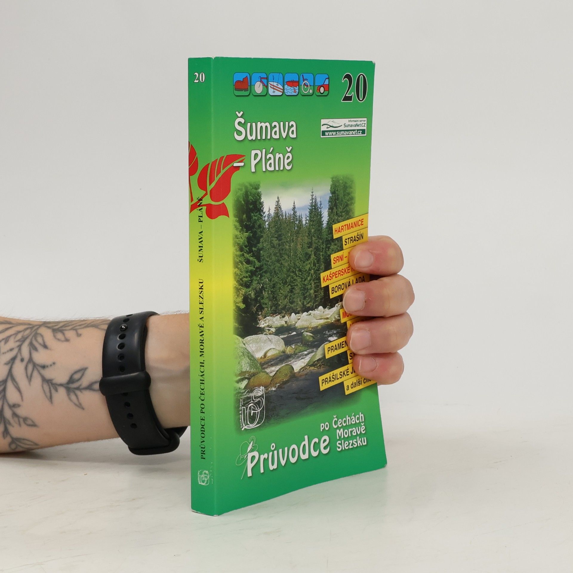 P. David Šumava - Pláně