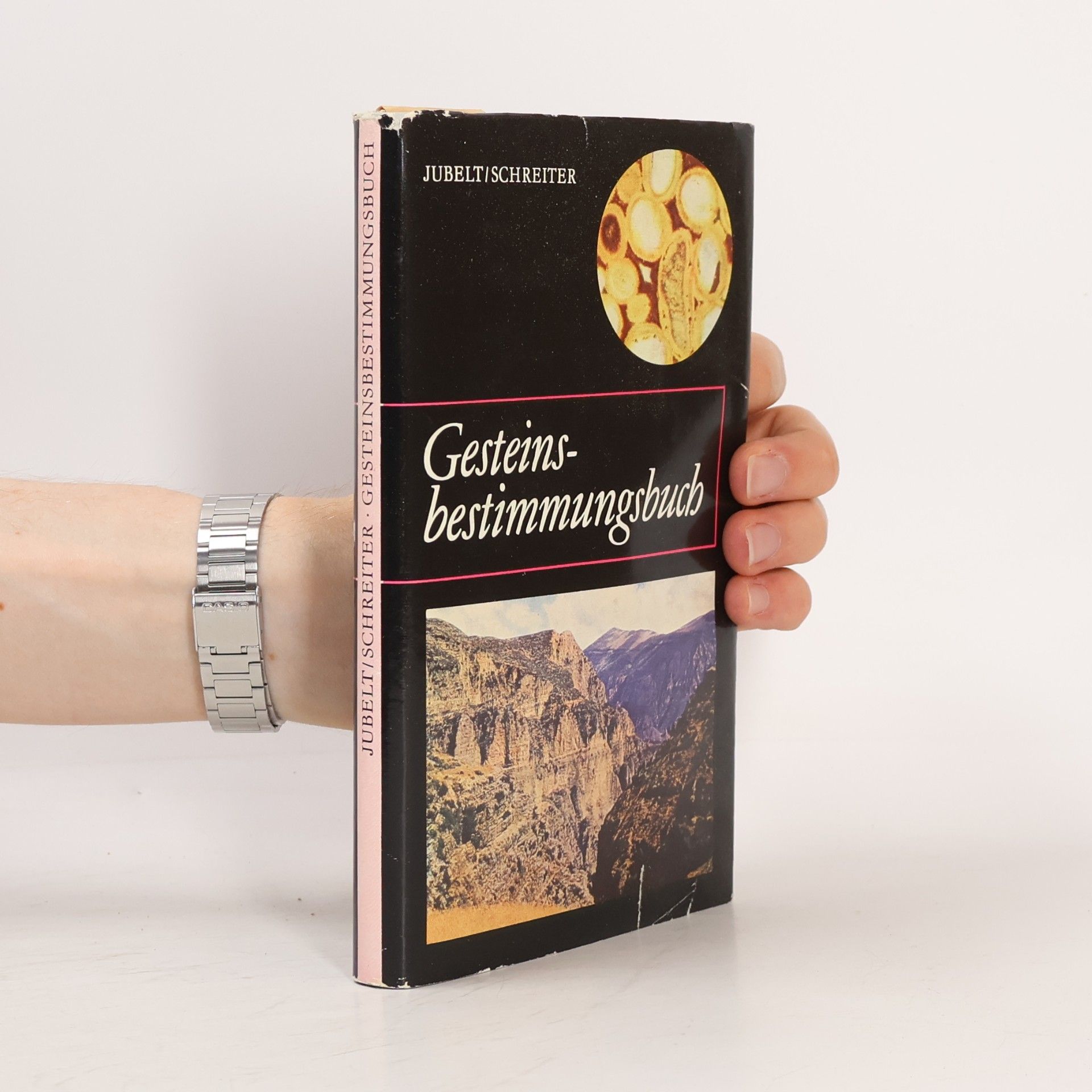 Peter Schreiter Gesteins-bestimmungsbuch
