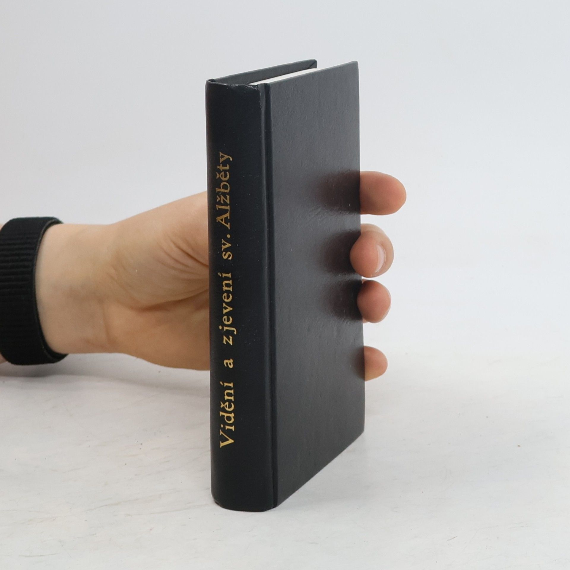 Kolektiv autorů Vidění a zjevení sv. Alžběty (reprint)