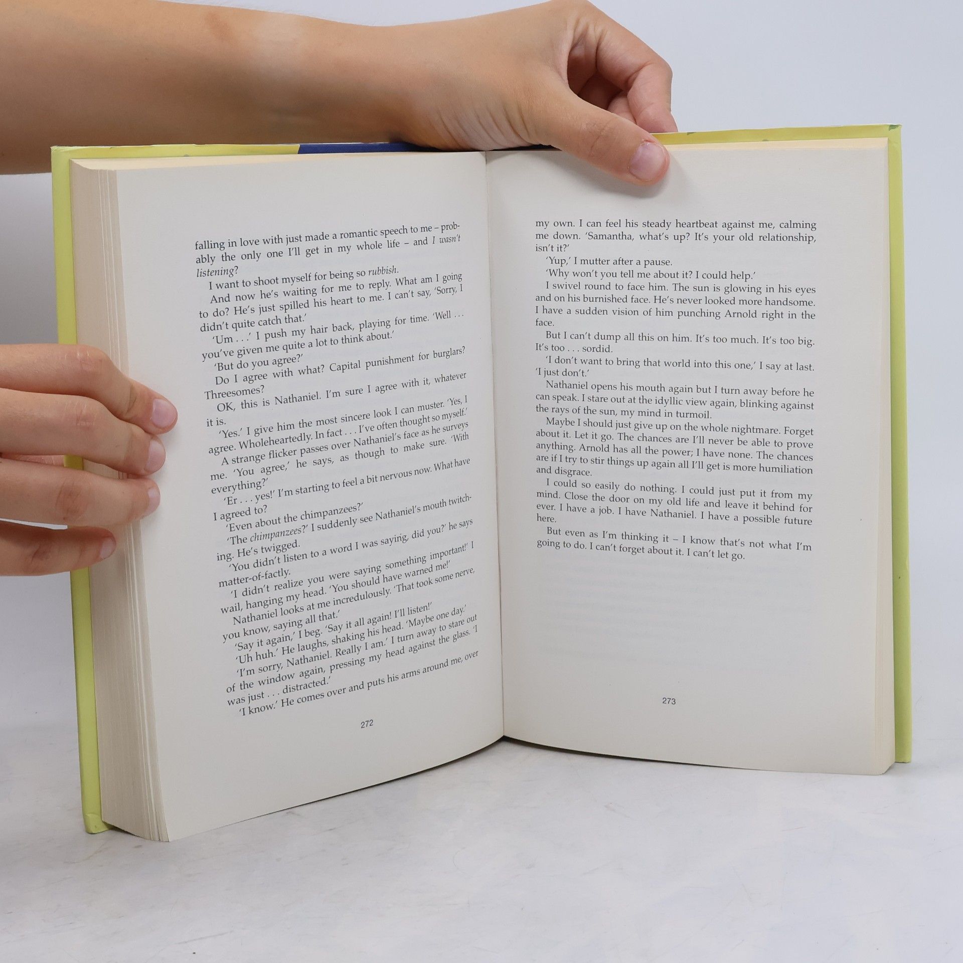 Sophie Kinsella The Undomestic Goddess