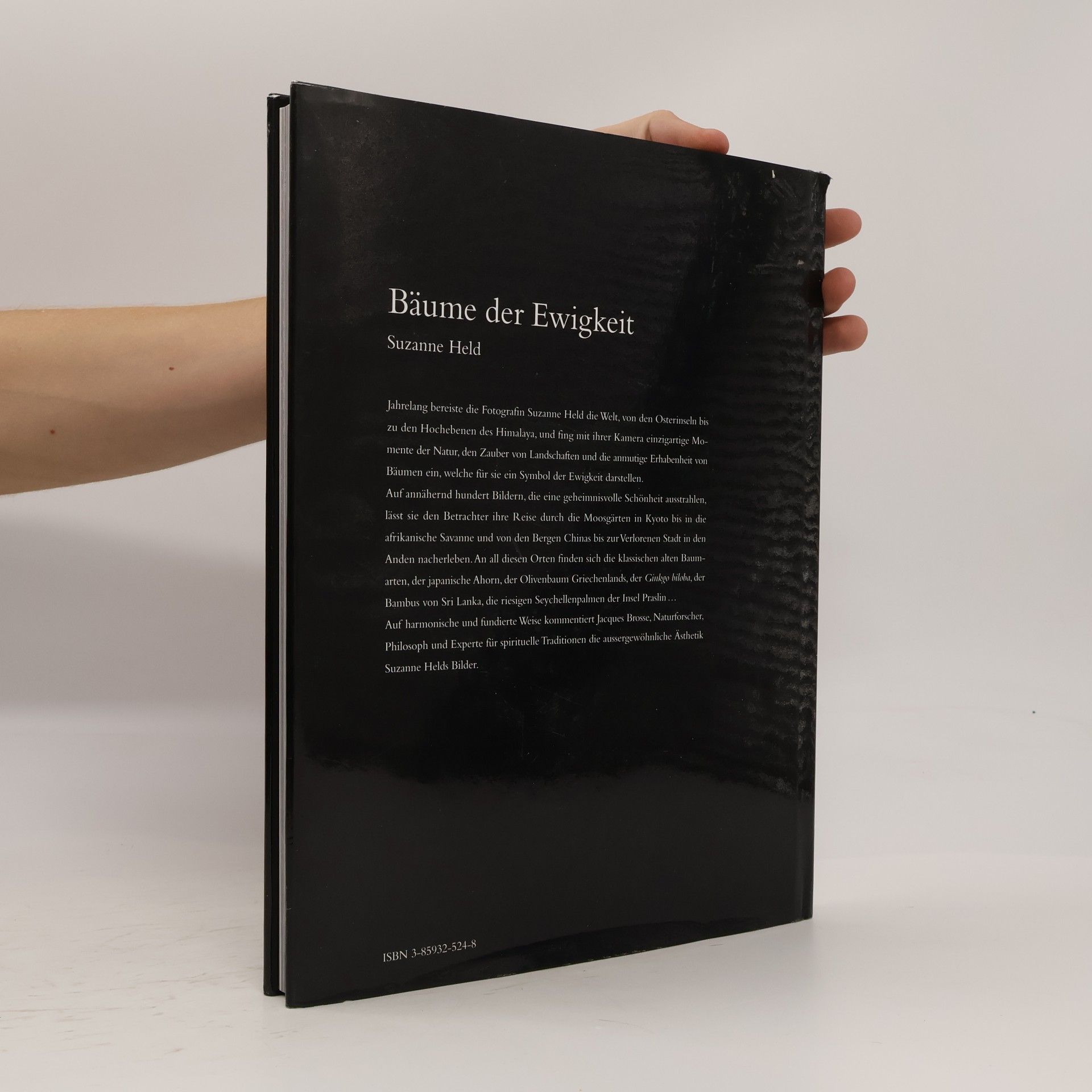 Suzanne Held Bäume der Ewigkeit