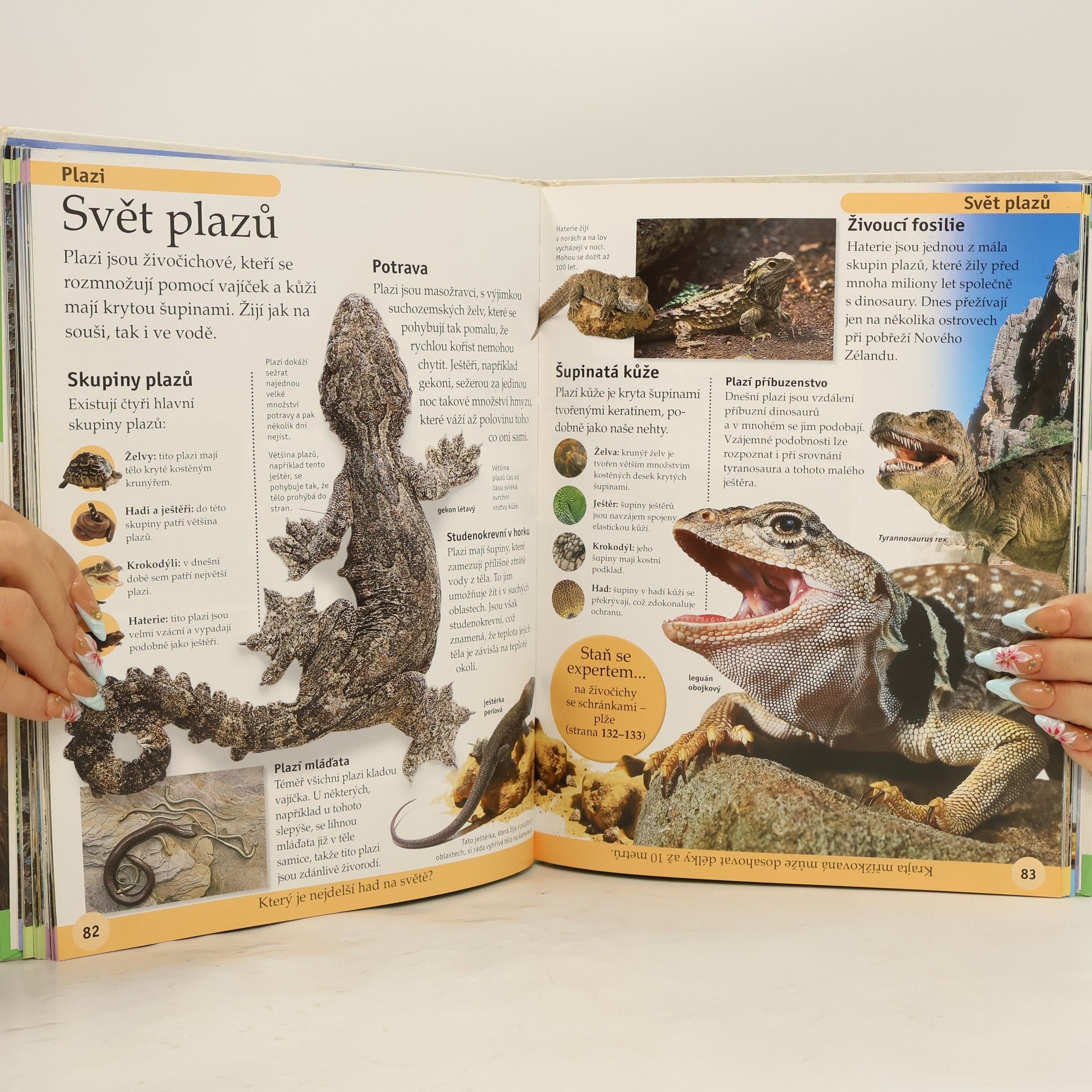 Autores varios První encyklopedie zvířat. Dětská encyklopedie o zvířatech celého světa