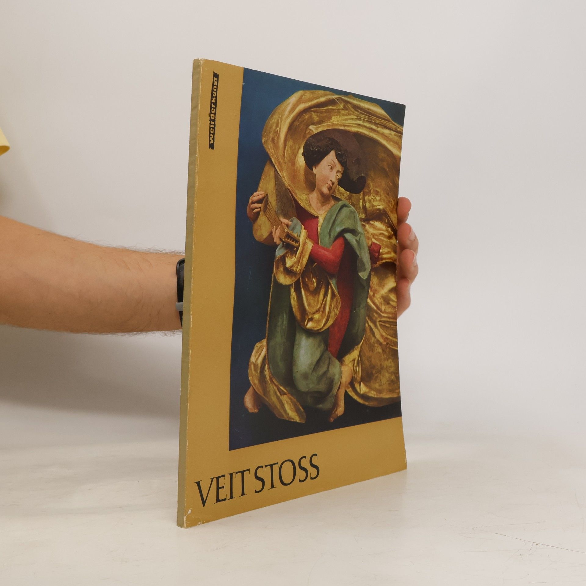 Kolektiv autorů Veit Stoss