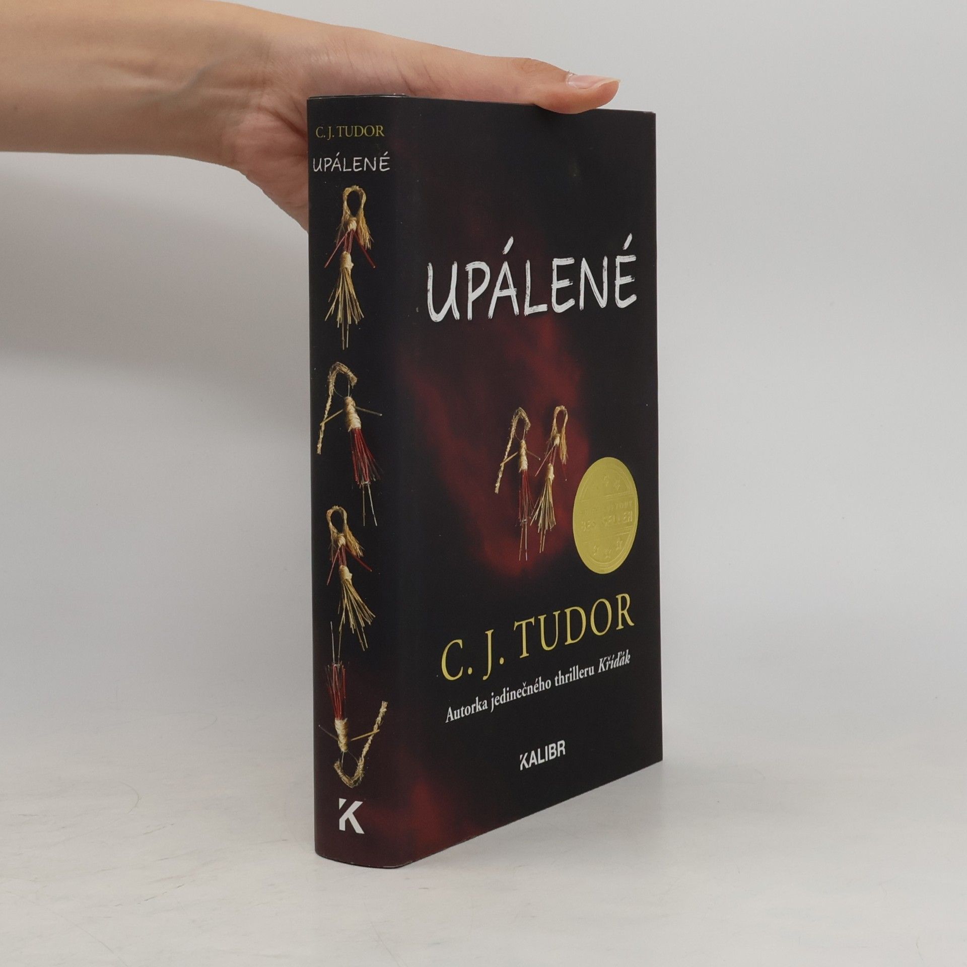 C. J. Tudor Upálené