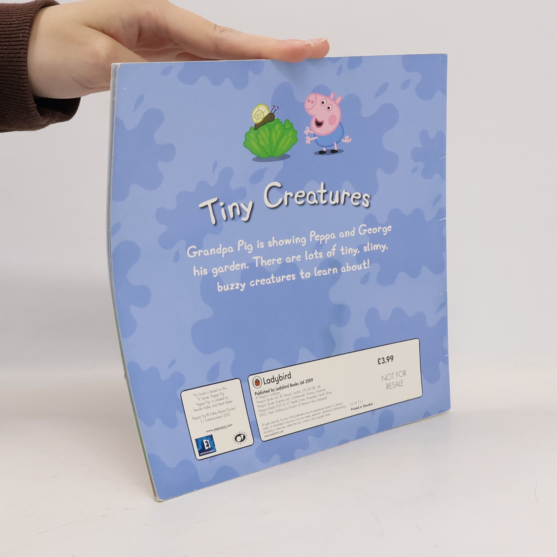 Autorenkollektiv Tiny Creatures