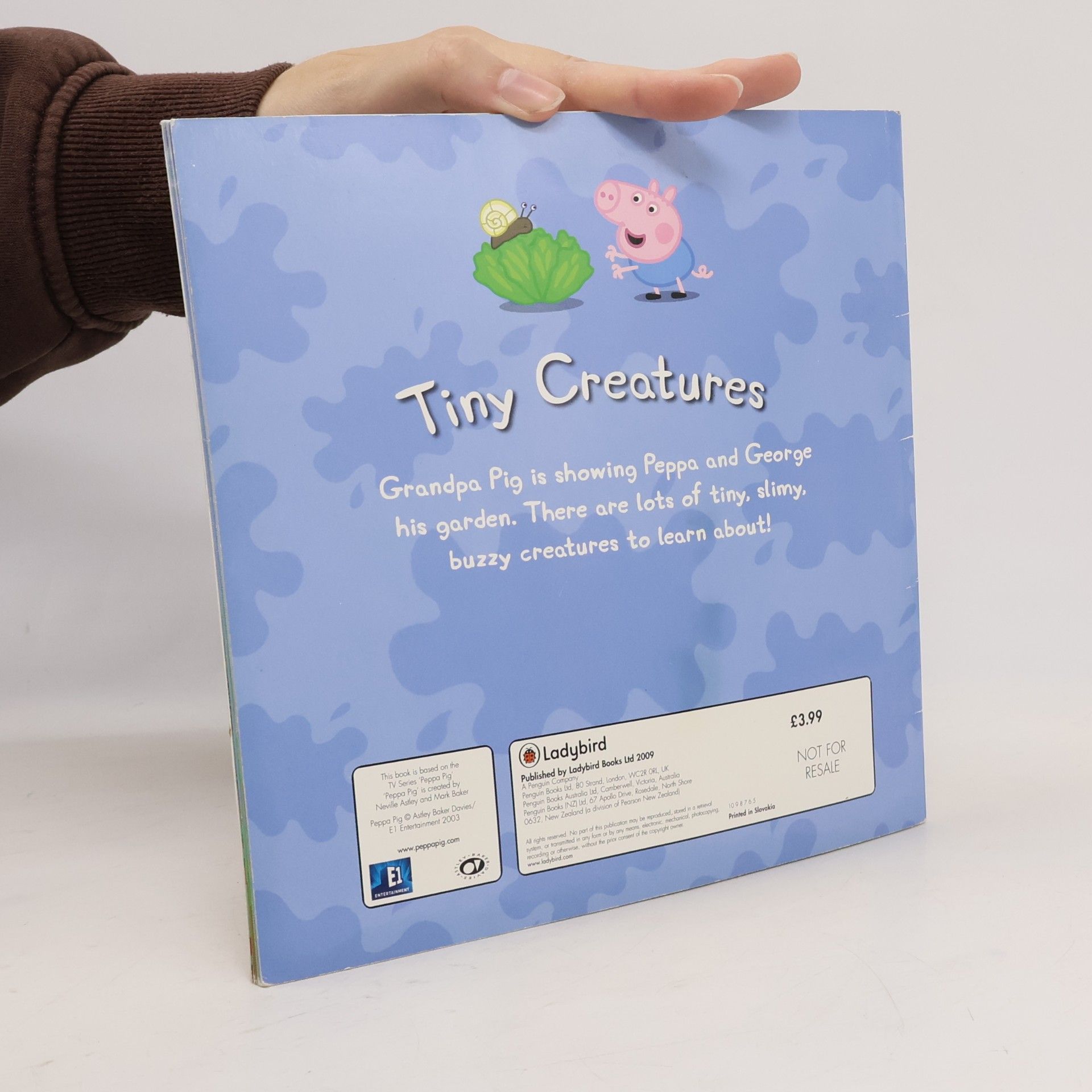 Autorenkollektiv Tiny Creatures
