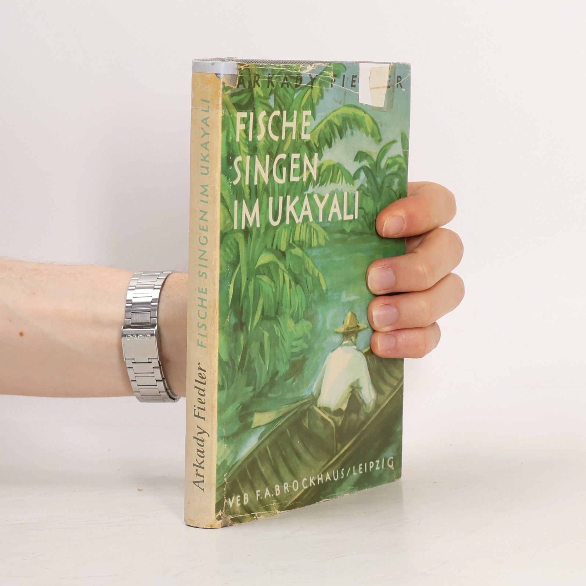 Arkady Fiedler Fische singen im Ukayali