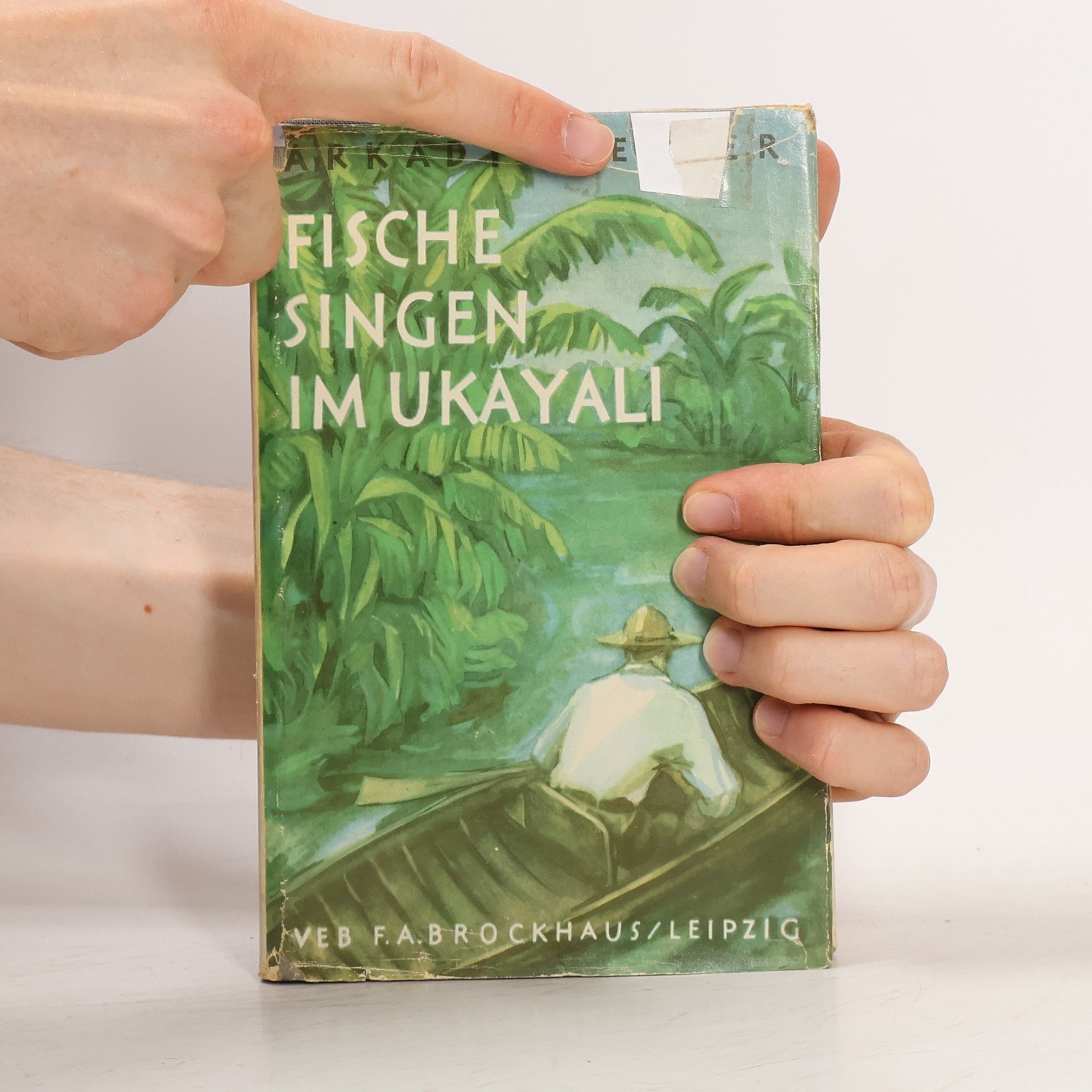 Arkady Fiedler Fische singen im Ukayali
