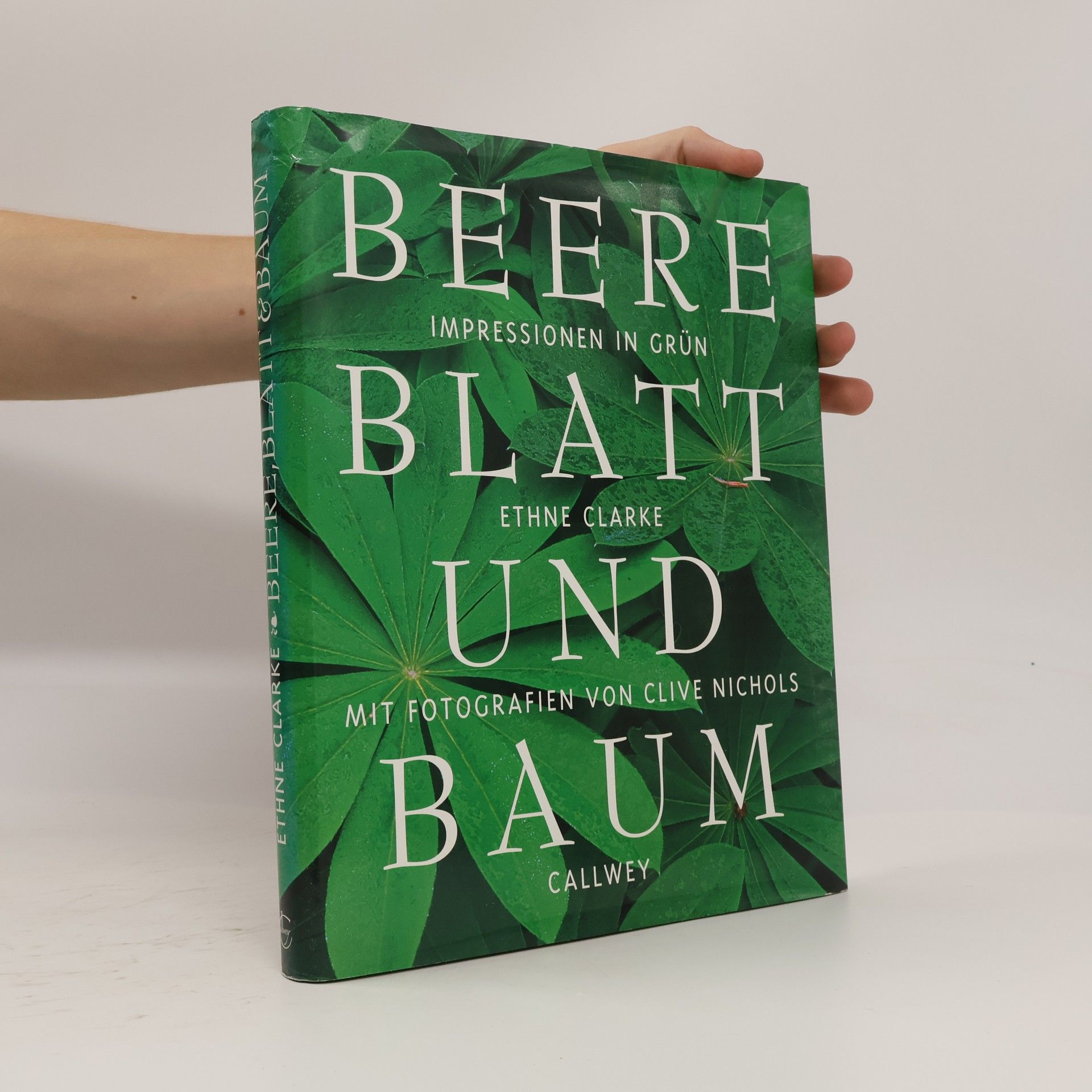 Ethne Clarke Beere, Blatt und Baum