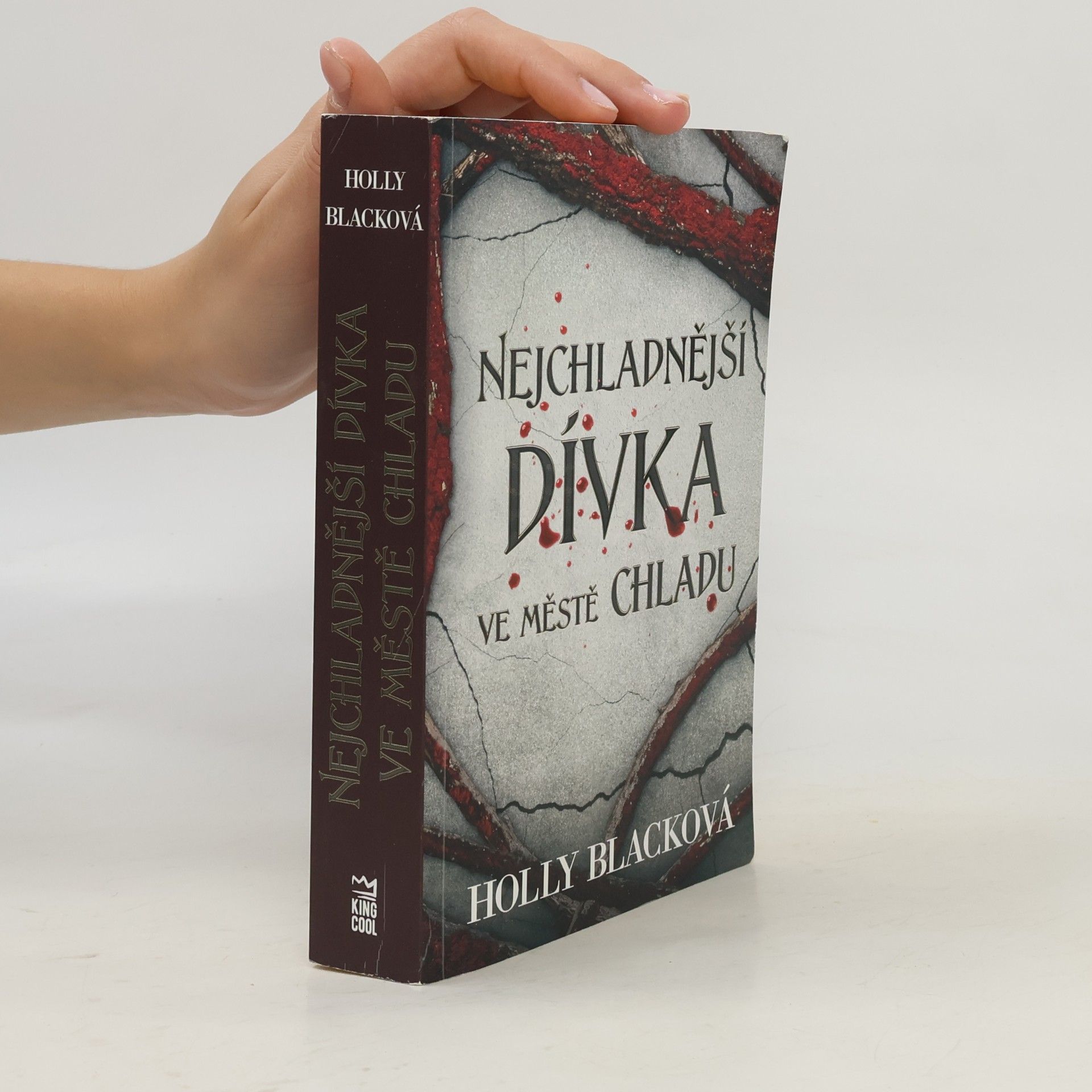 Holly Black Nejchladnější dívka ve městě chladu