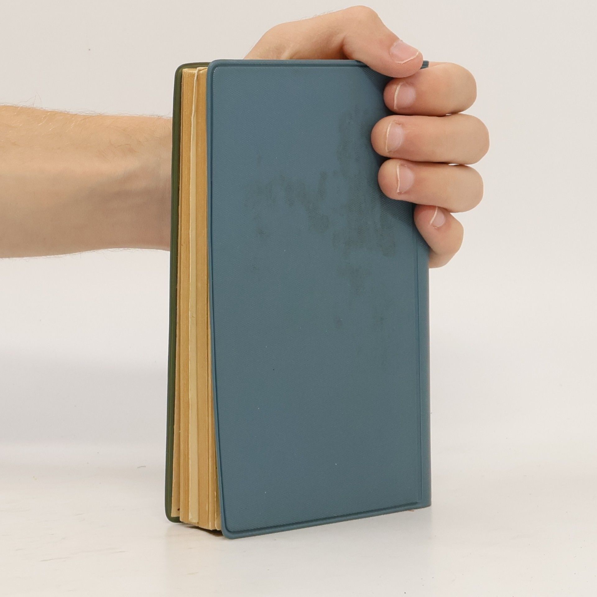 Autorenkollektiv Brockhaus Reisehandbuch. Der Harz