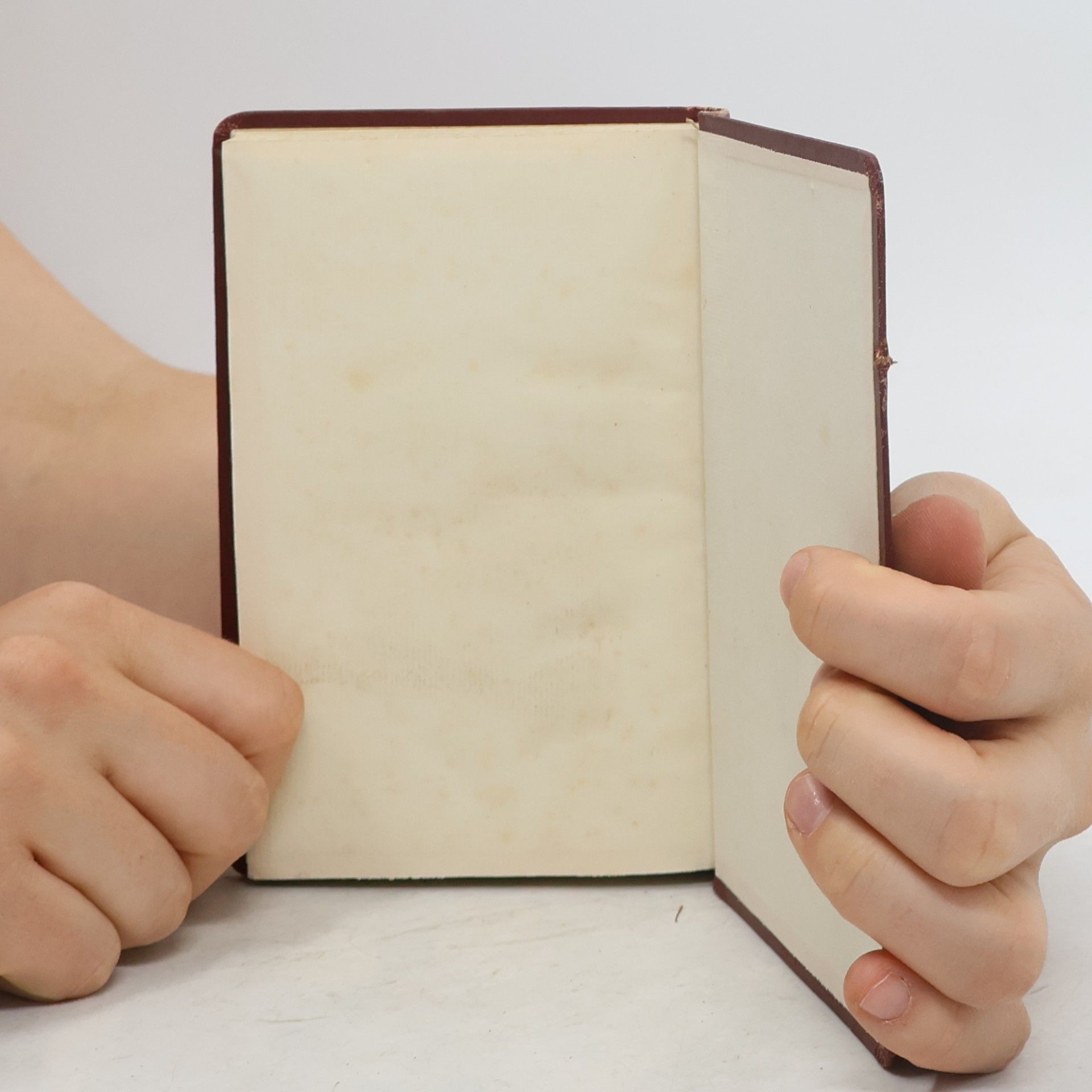 Karl Wild Die Ignatianischen Grerzitien