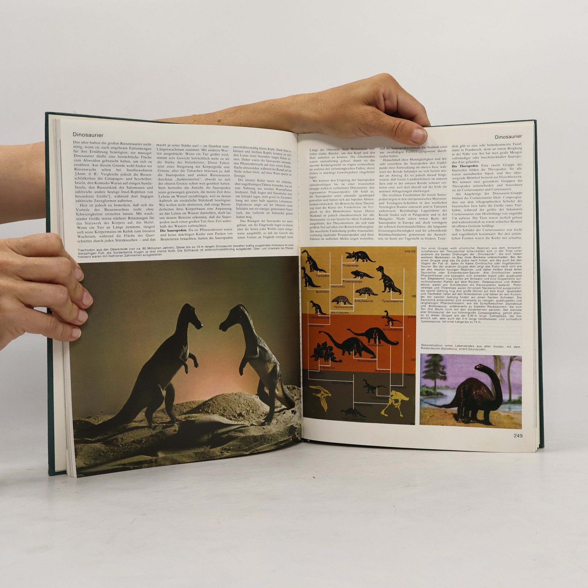 Autorenkollektiv Grosses Lexikon der Tierwelt 2