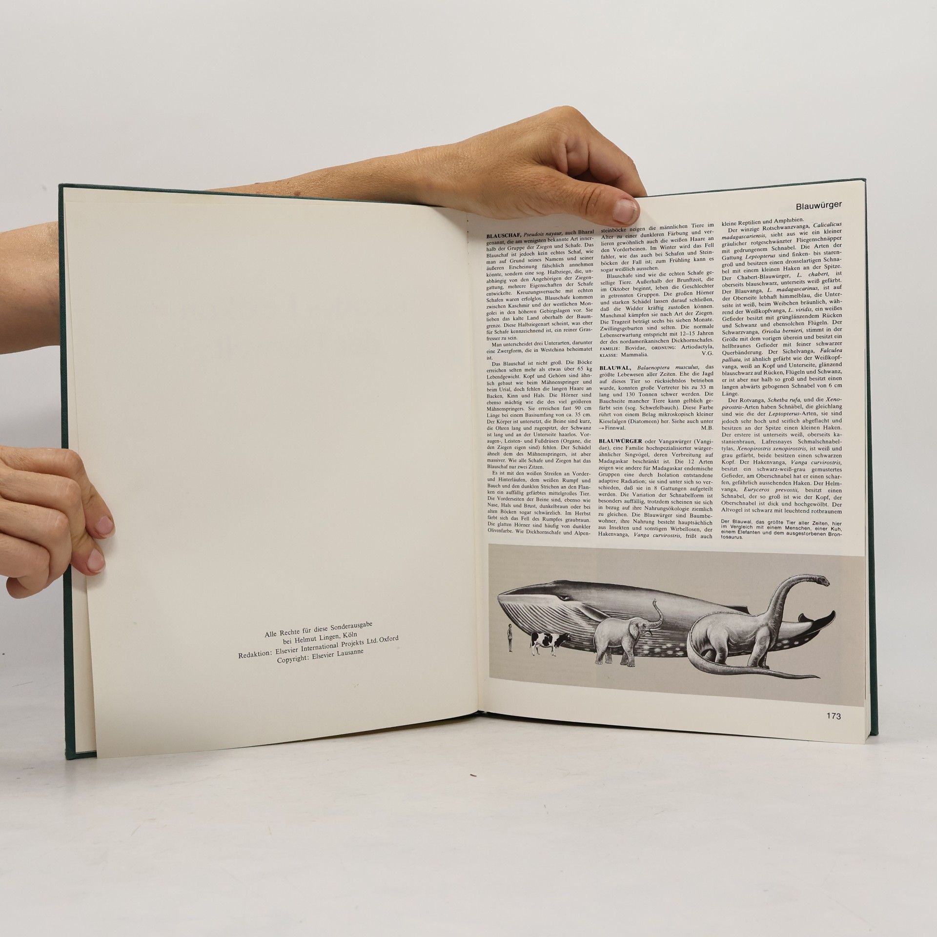Autorenkollektiv Grosses Lexikon der Tierwelt 2