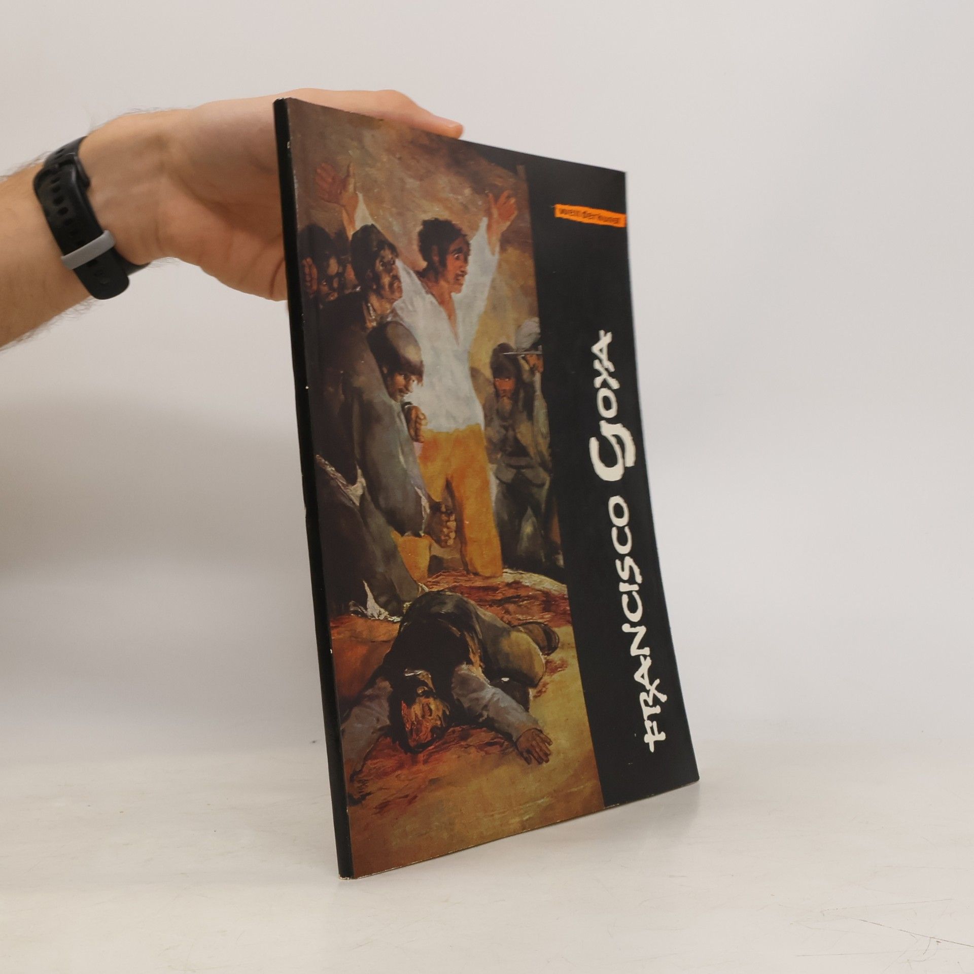 Autorenkollektiv Francisco Goya