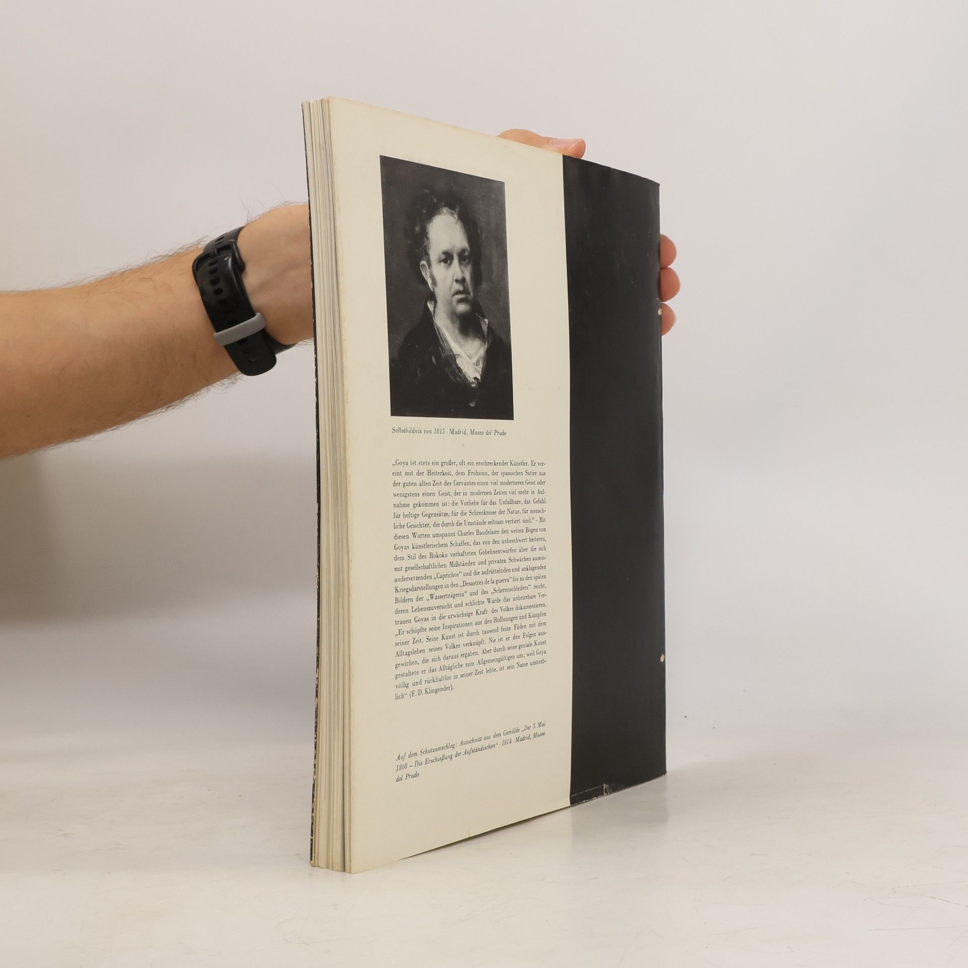 Autorenkollektiv Francisco Goya