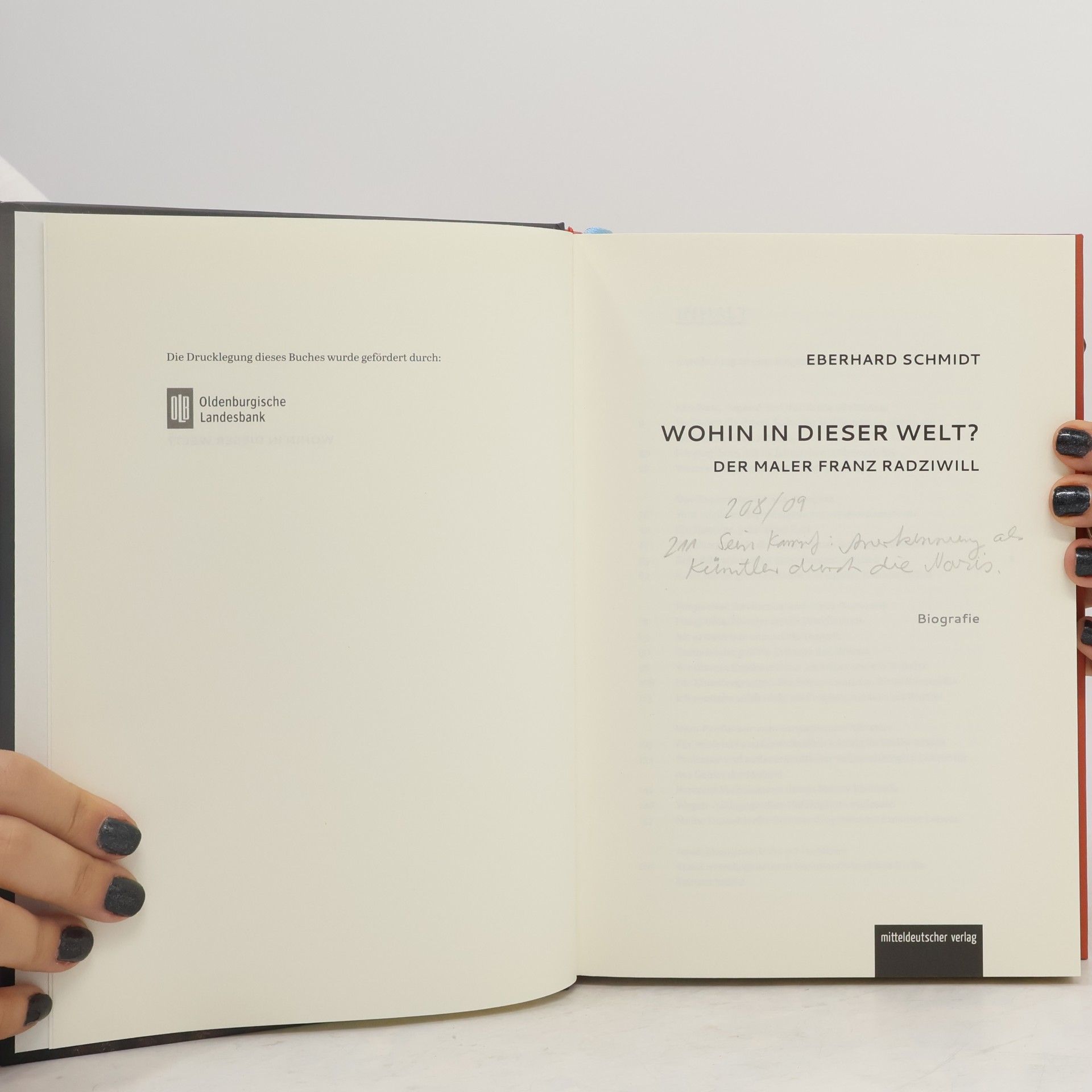 Eberhard Schmidt-Sommerfeld Wohin in dieser Welt?