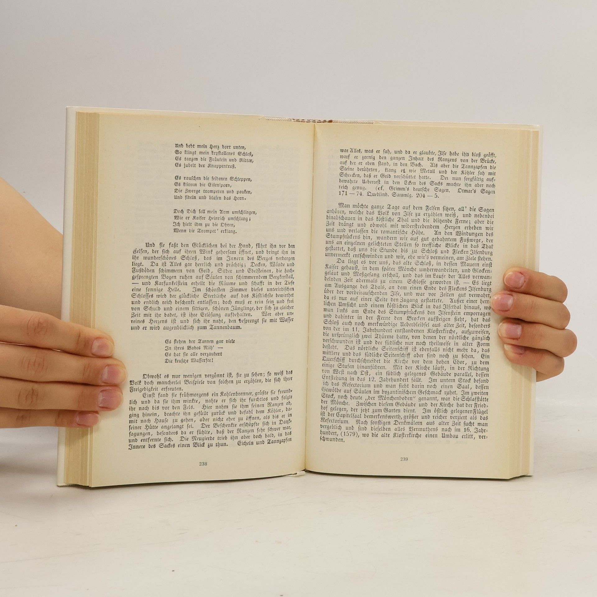 Rainer Schulze Der Harz mit seinen Merkwürdigkeiten, Volkssagen und Legenden um 1840
