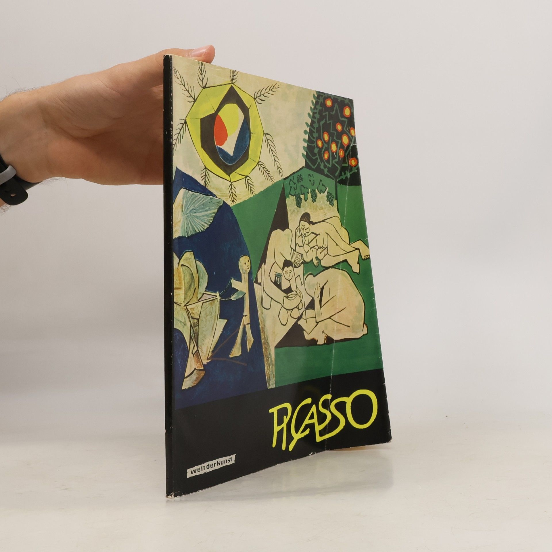 Autores varios Picasso