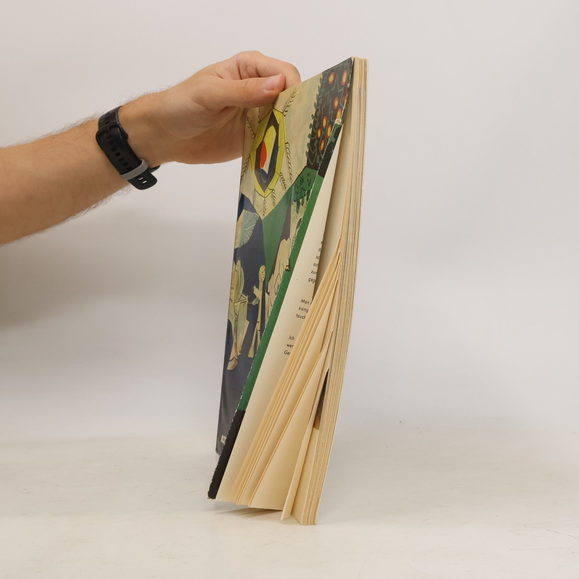 Autores varios Picasso