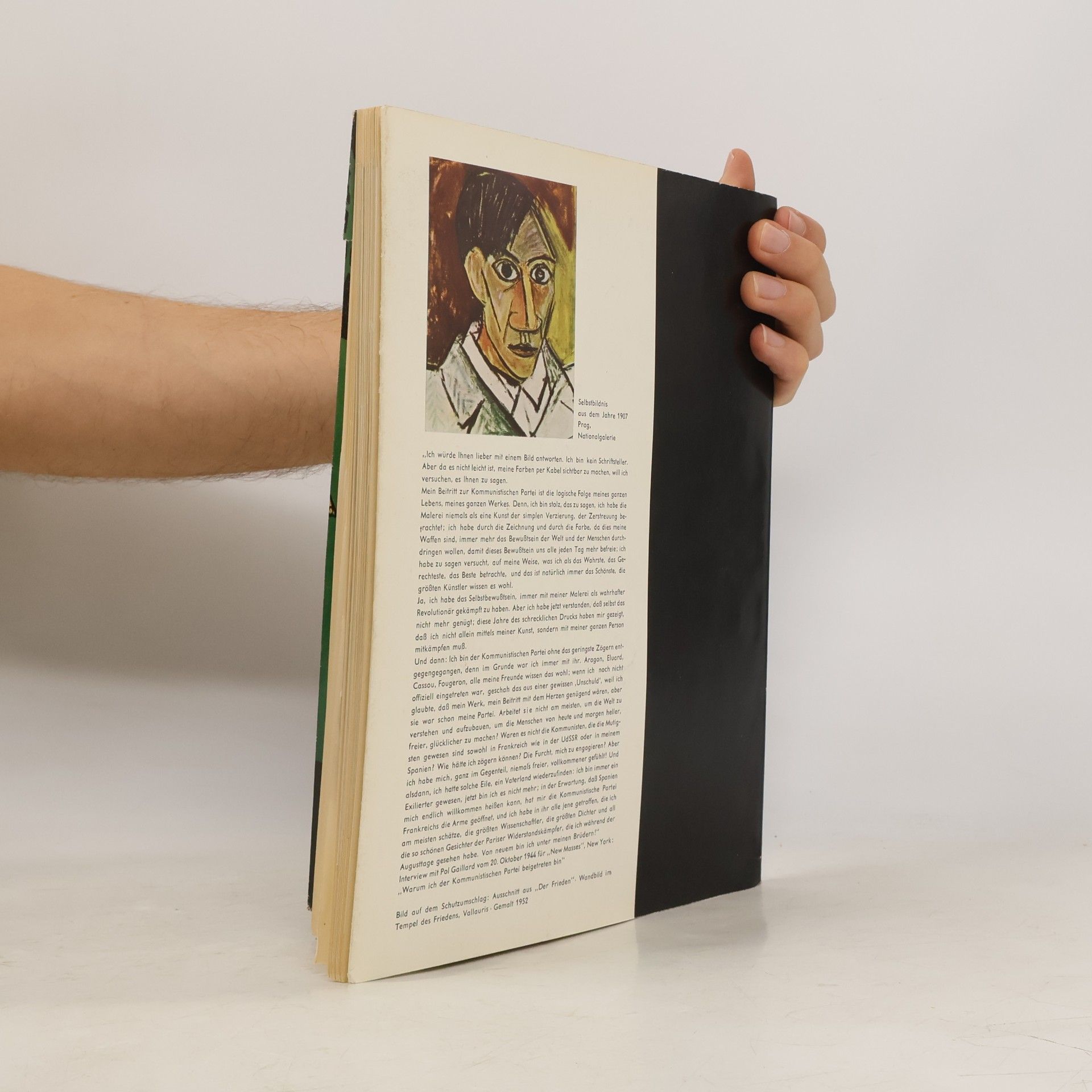 Autores varios Picasso