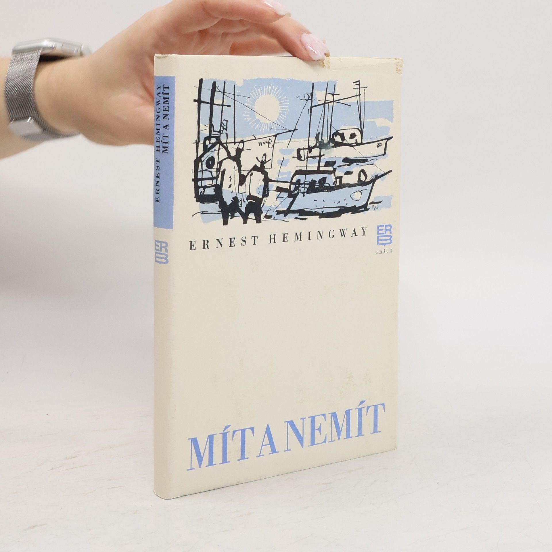 Ernest Hemingway Mít a nemít