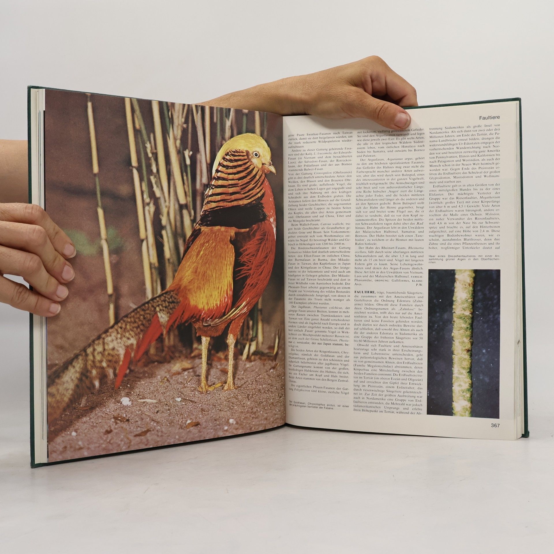 Various authors Grosses Lexikon der Tierwelt 3