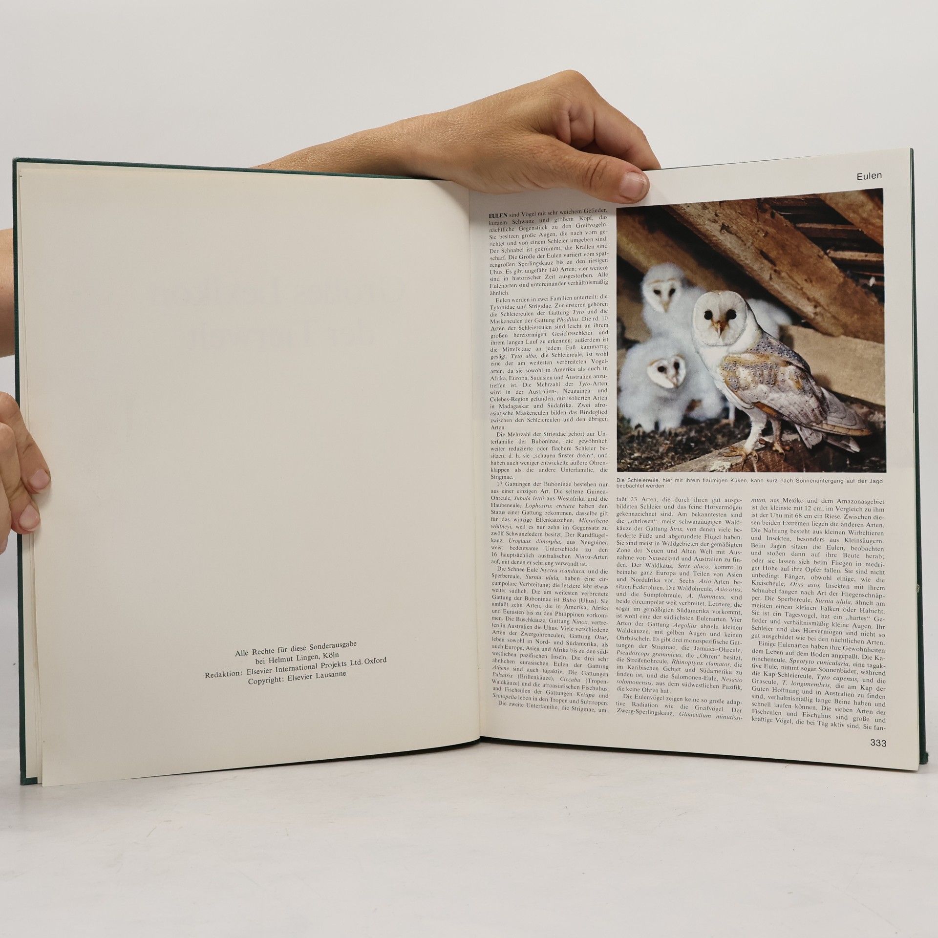 Various authors Grosses Lexikon der Tierwelt 3