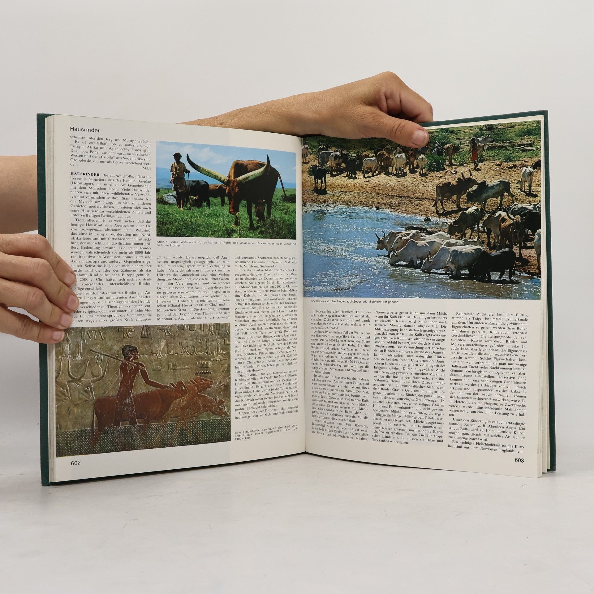 Autorenkollektiv Grosses Lexikon der Tierwelt 4. Gar-Hör