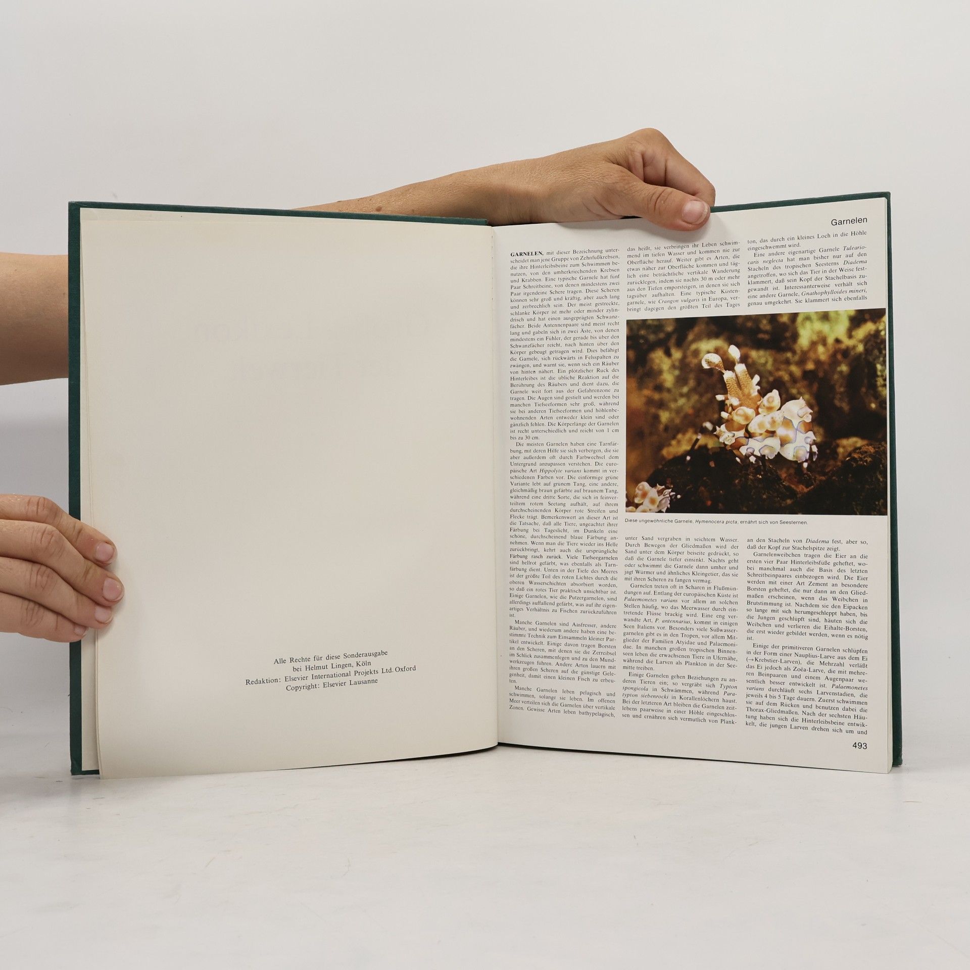 Autorenkollektiv Grosses Lexikon der Tierwelt 4. Gar-Hör