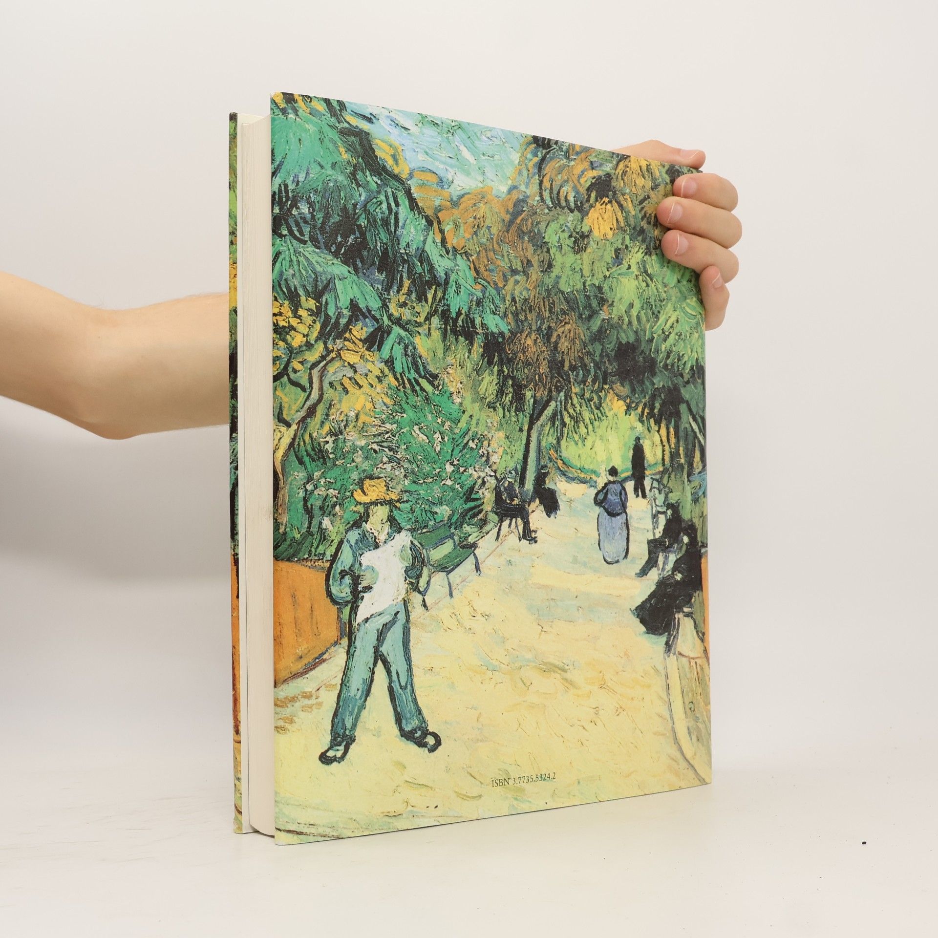 Vincent van Gogh Vincent van Gogh