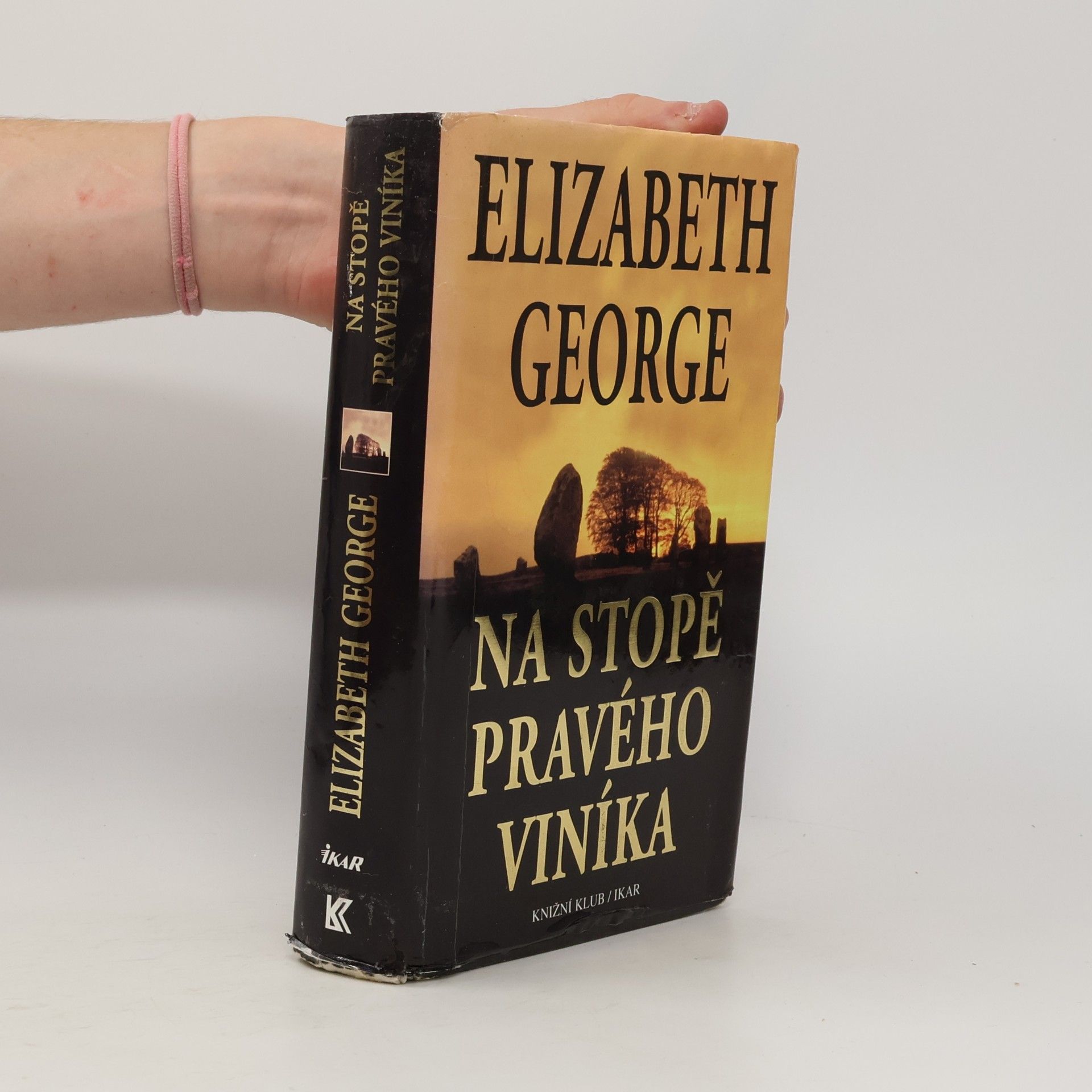 Elizabeth George Na stopě pravého viníka